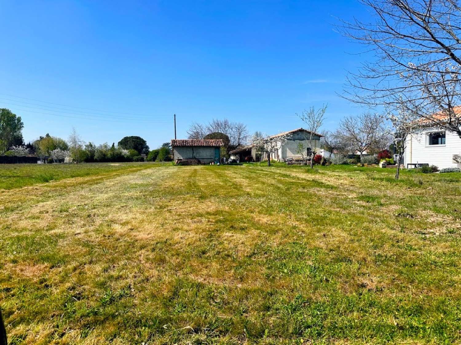  for sale terrain Bessières Haute-Garonne 3