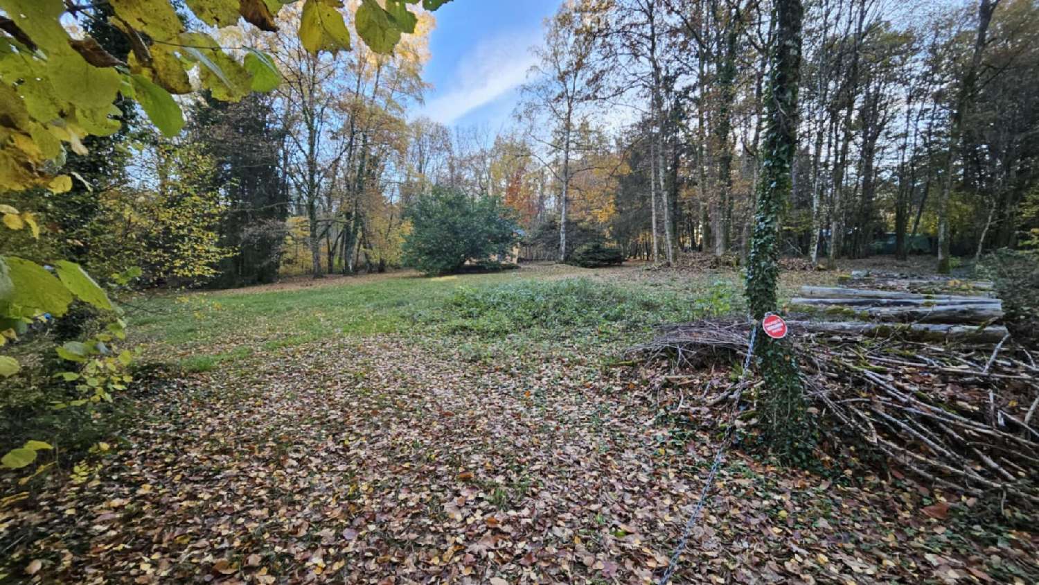 for sale terrain Biesles Haute-Marne 1