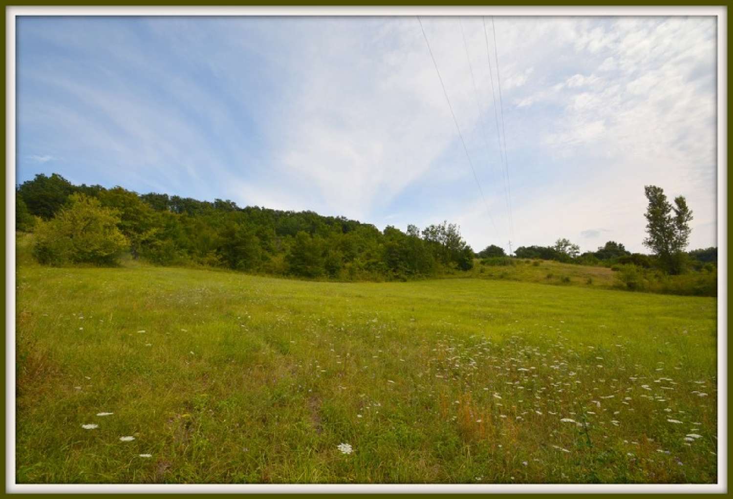  for sale terrain Bon-Encontre Lot-et-Garonne 2