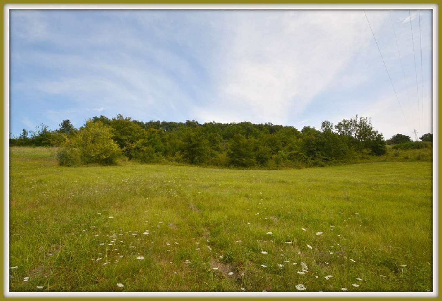  for sale terrain Bon-Encontre Lot-et-Garonne 4