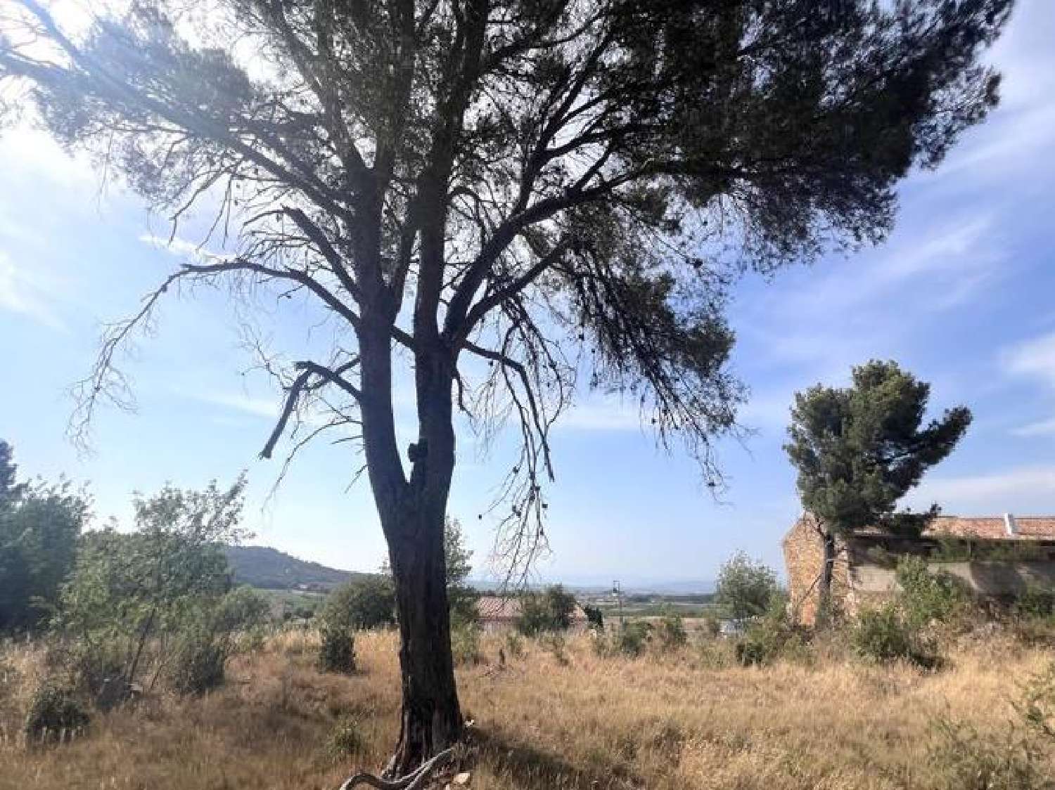 en venta terreno Boutenac Aude 1