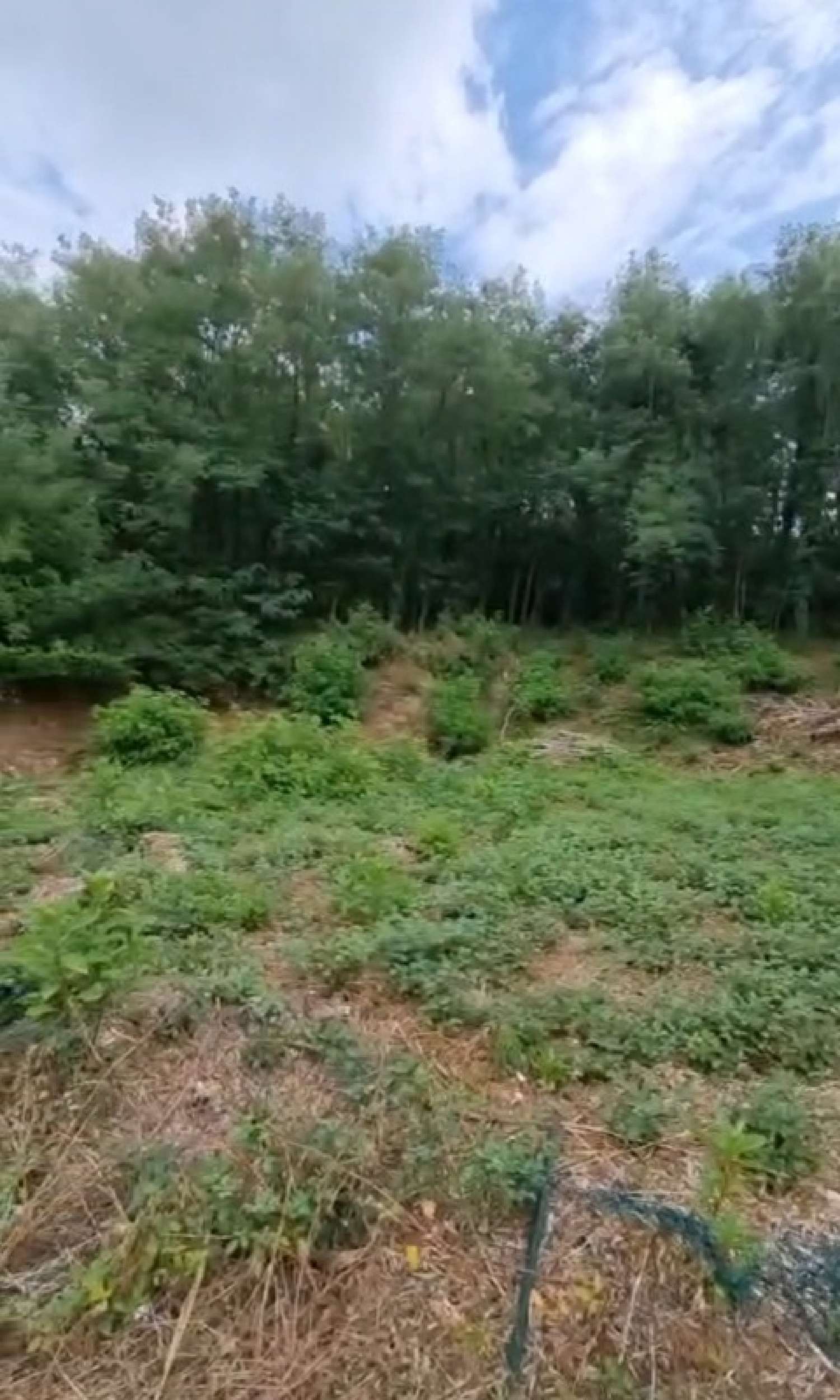  te koop terrein Brive-la-Gaillarde Corrèze 7