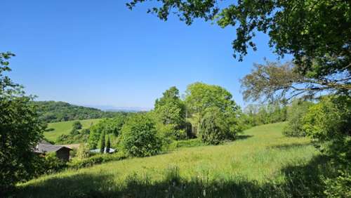 Burgaronne Pyrénées-Atlantiques terrein foto 7288519