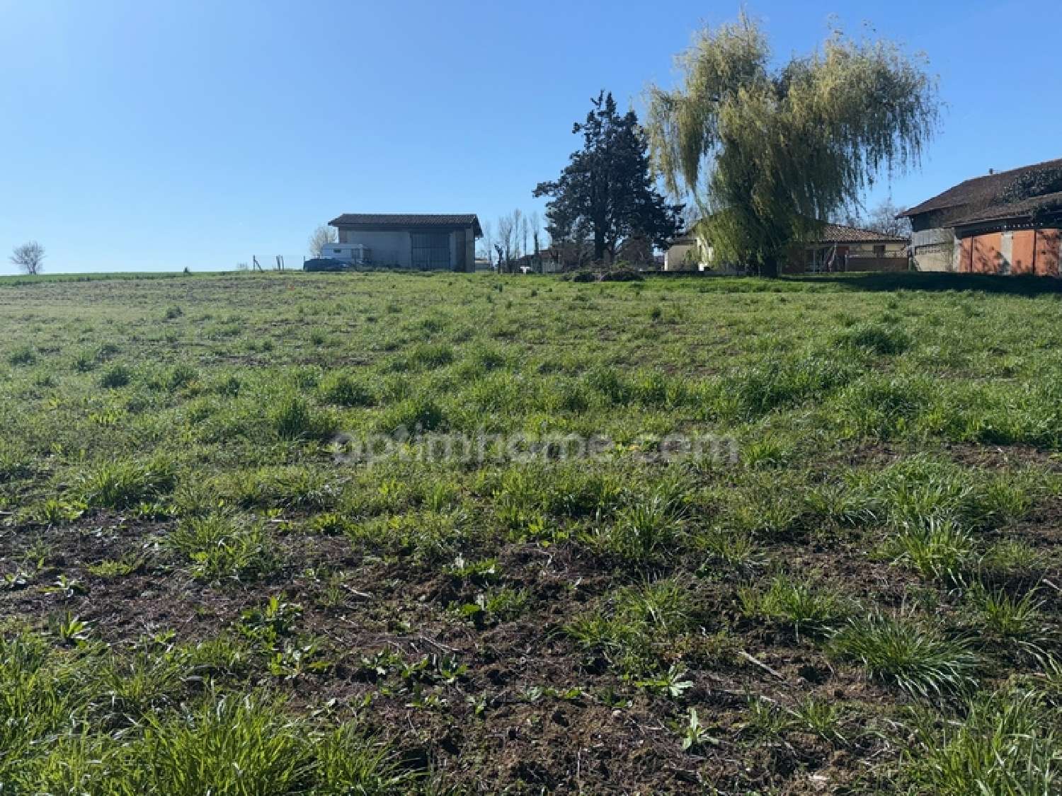  à vendre terrain Cadours Haute-Garonne 3