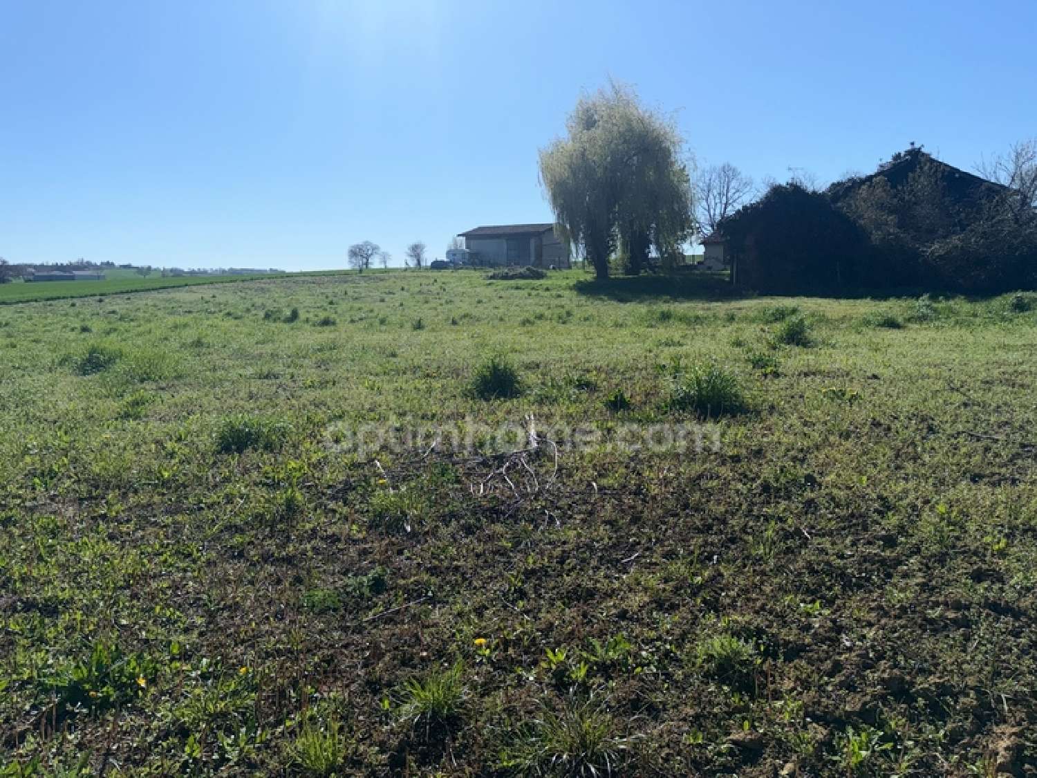  à vendre terrain Cadours Haute-Garonne 1