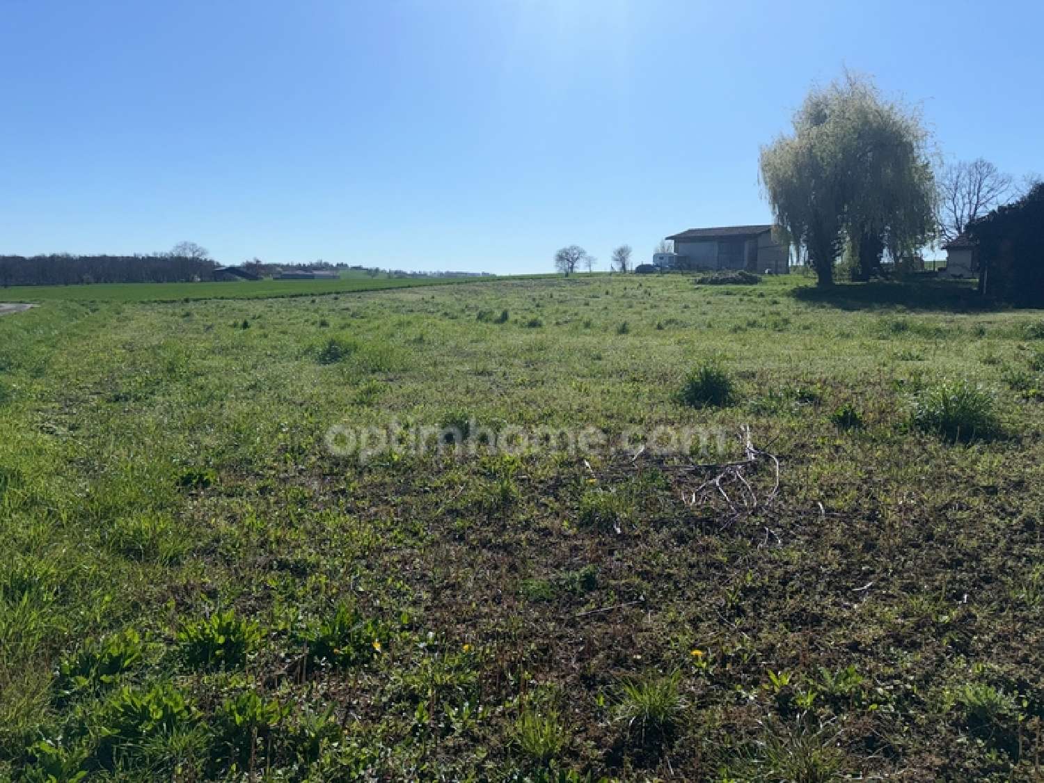  à vendre terrain Cadours Haute-Garonne 2