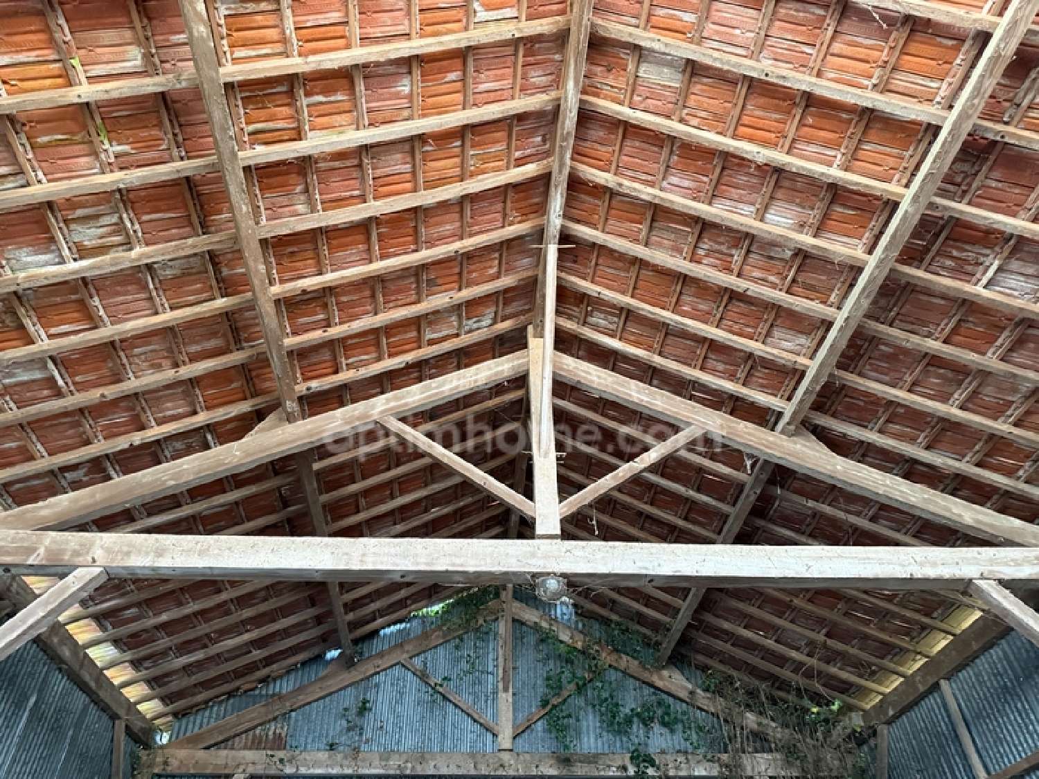  à vendre terrain Cadours Haute-Garonne 6