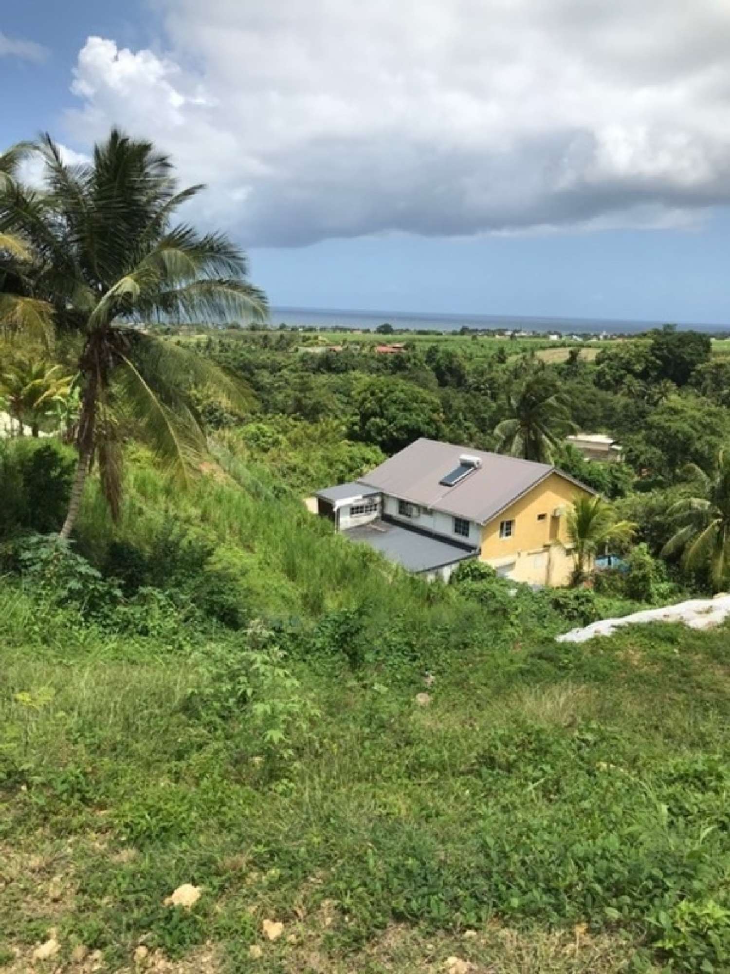  à vendre terrain Capesterre-Belle-Eau Guadeloupe 3