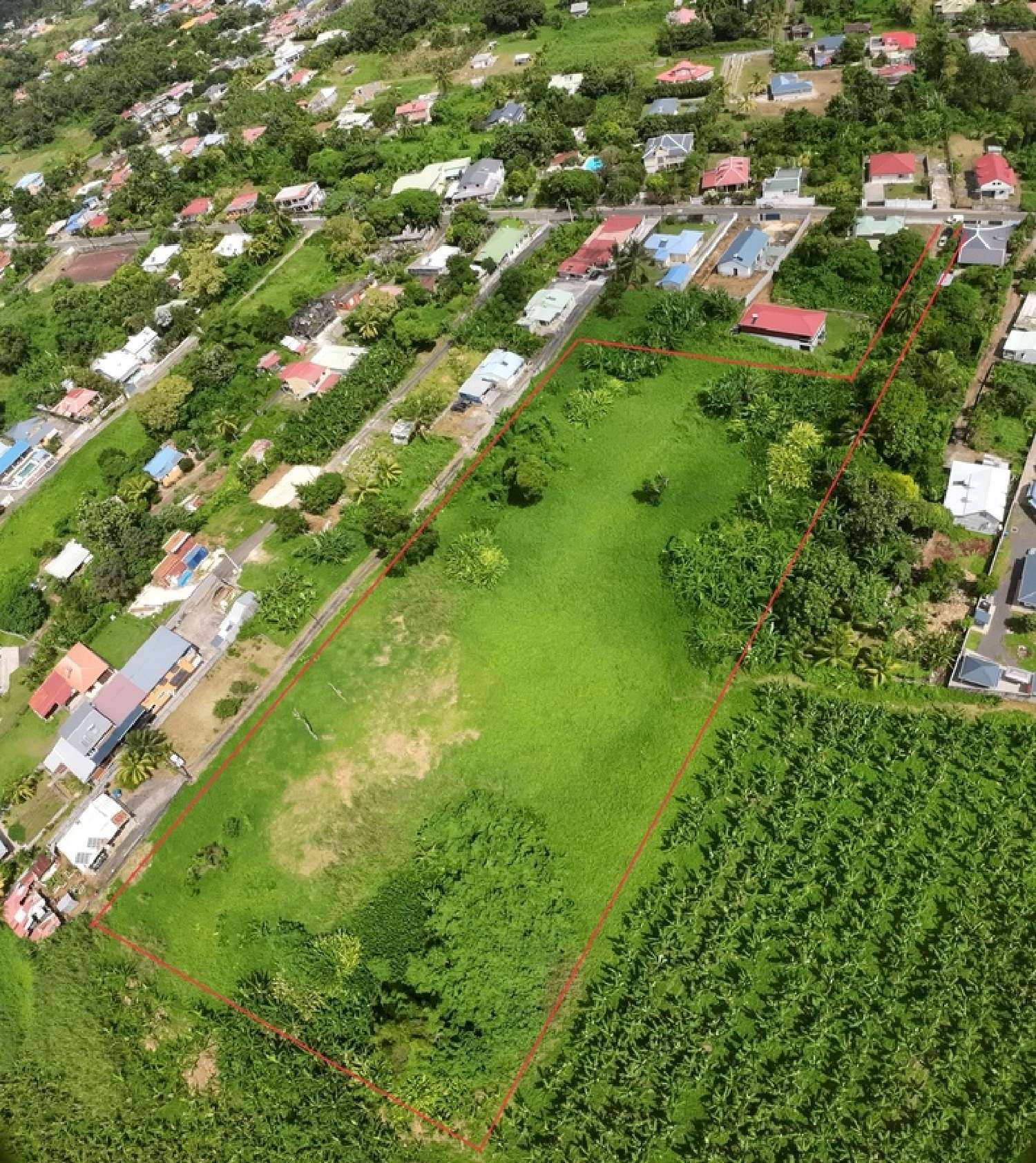  for sale terrain Capesterre-Belle-Eau Guadeloupe 1