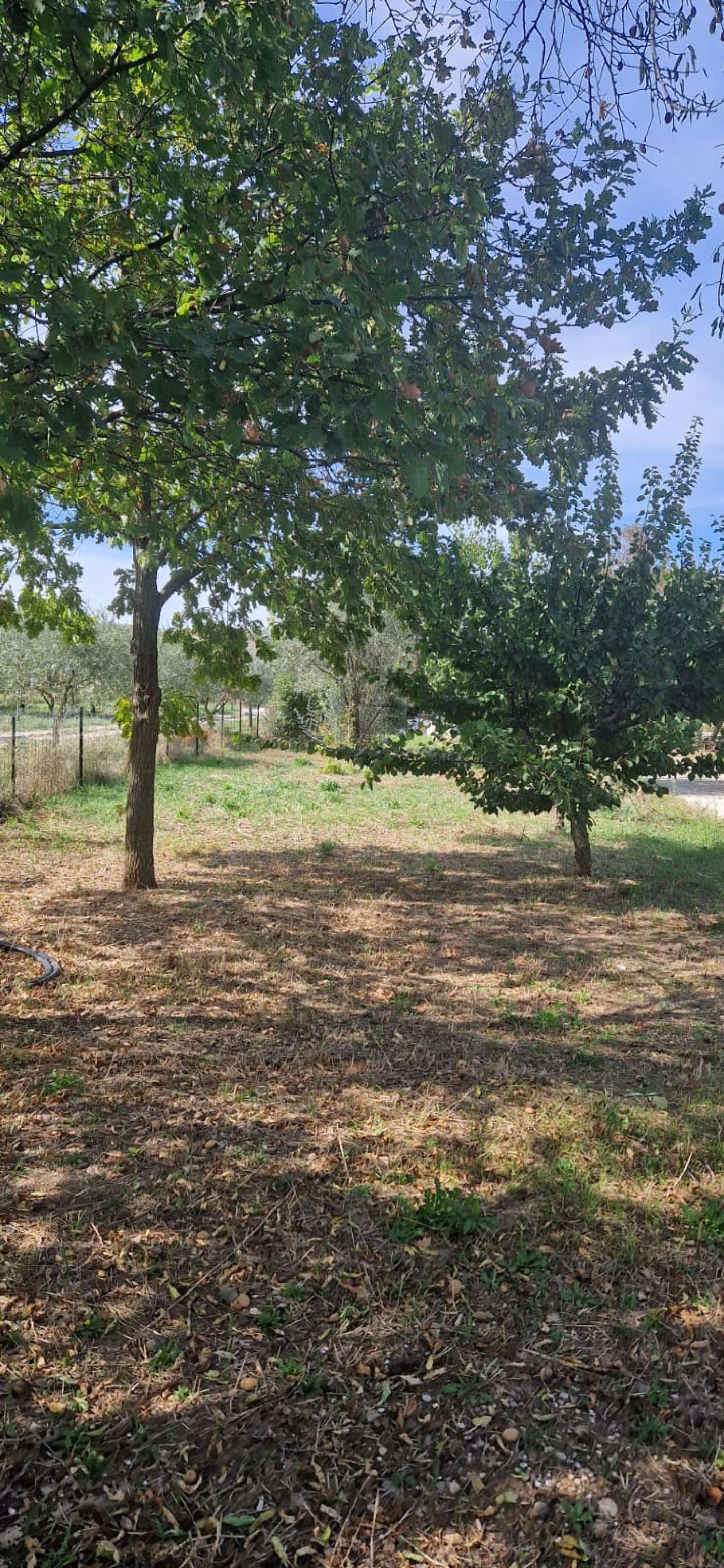  kaufen Grundstück Carpentras Vaucluse 3