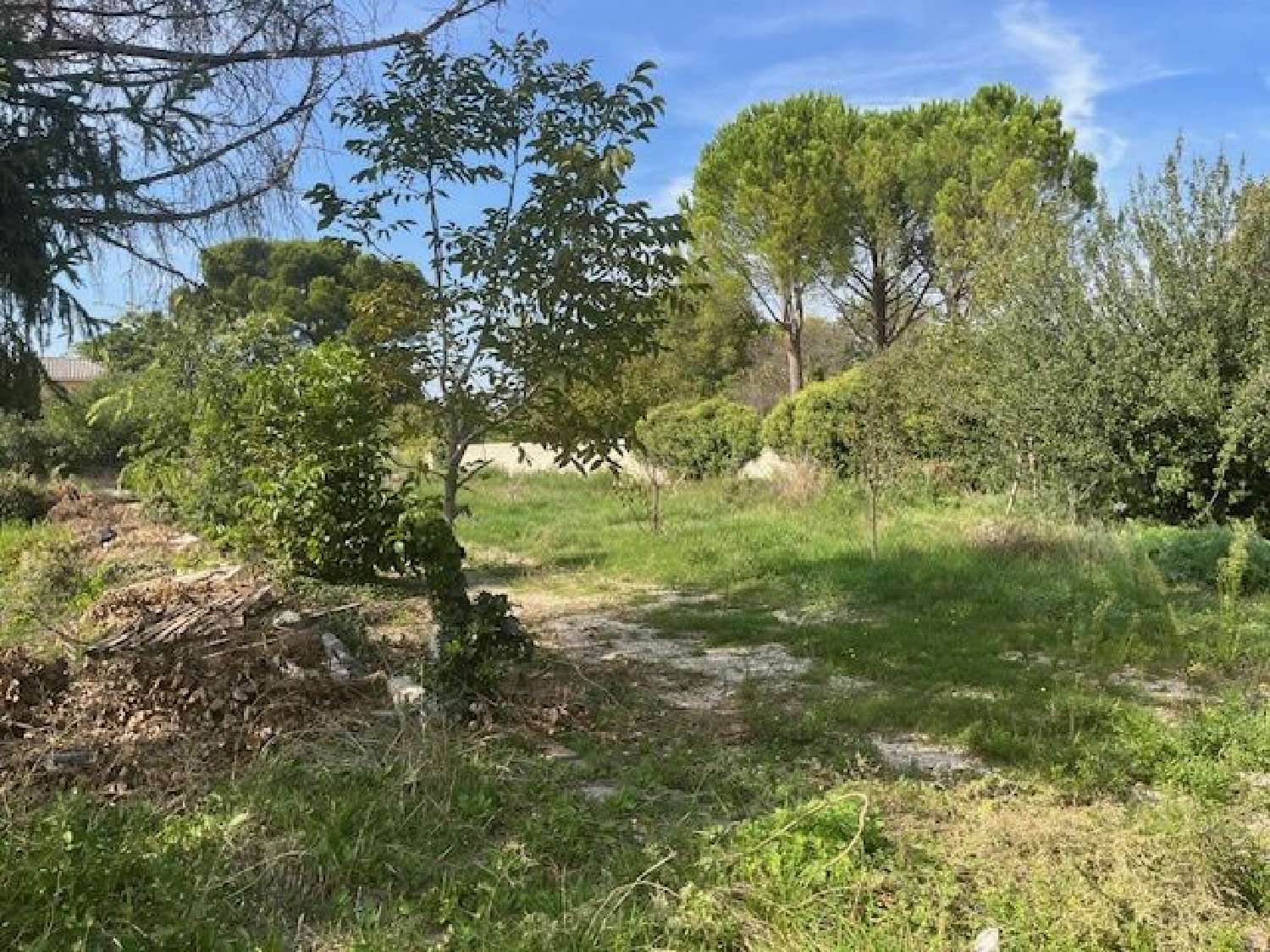  te koop terrein Carpentras Vaucluse 1