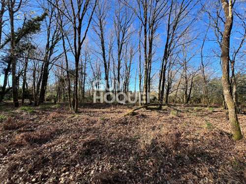 Castets Landes terreno foto 7285376