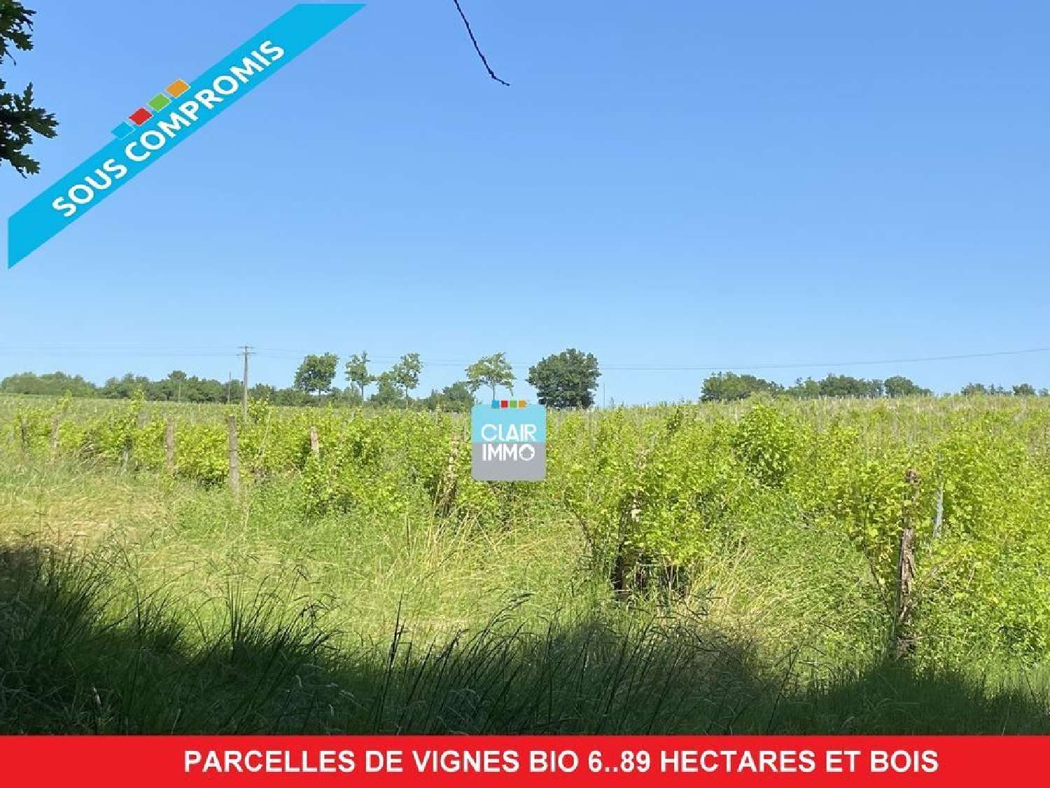  for sale terrain Cazaubon Gers 1