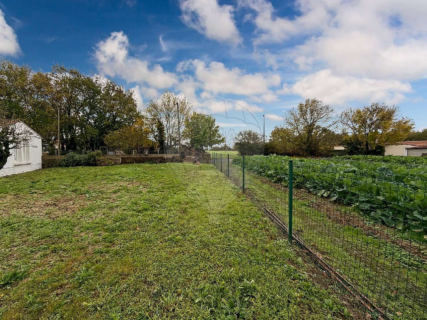 for sale terrain Champtoceaux Maine-et-Loire 1