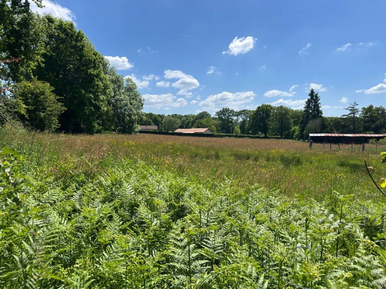 kaufen Grundstück Châteauponsac Haute-Vienne 2