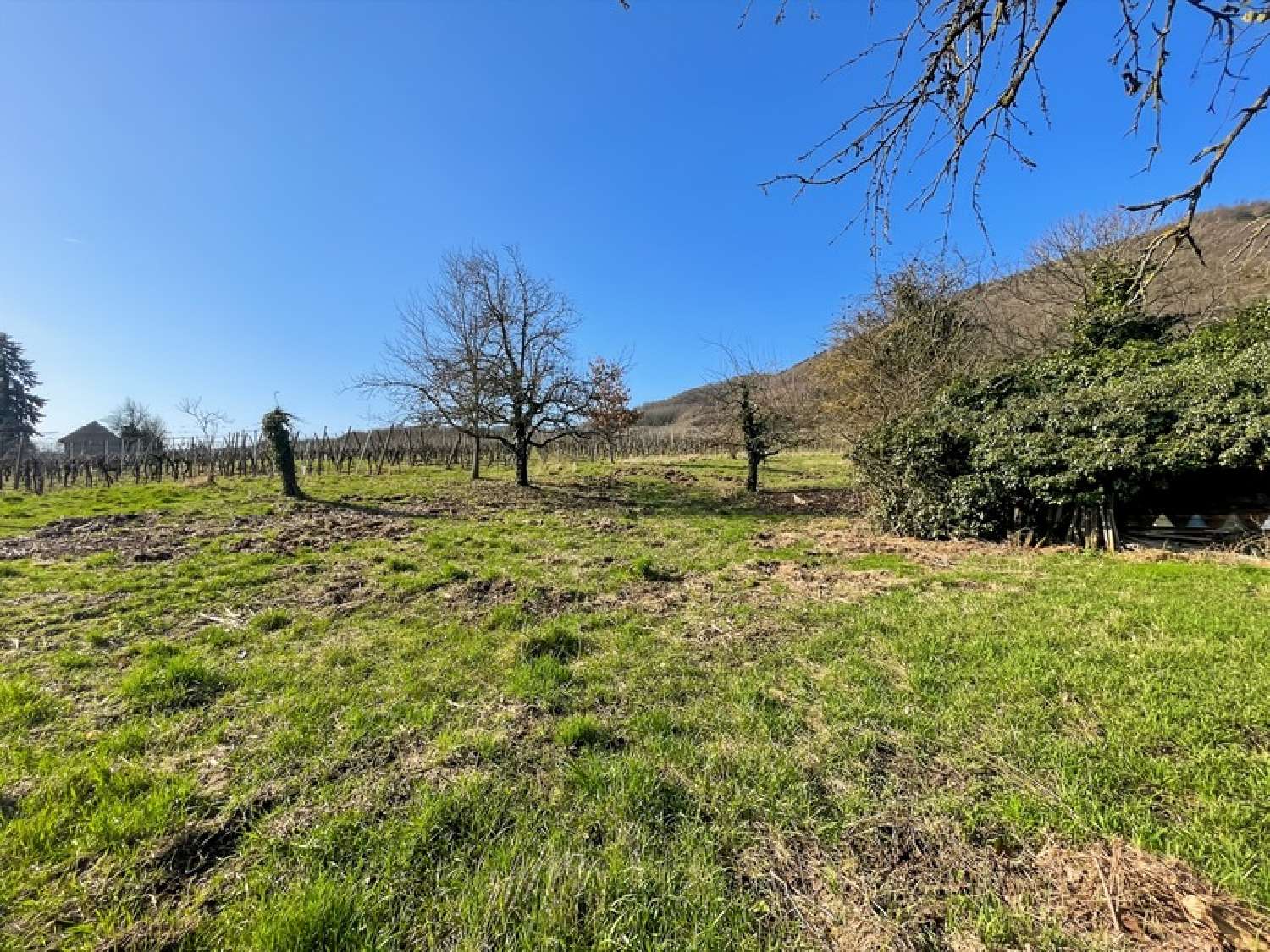  for sale terrain Châtenois Bas-Rhin 2