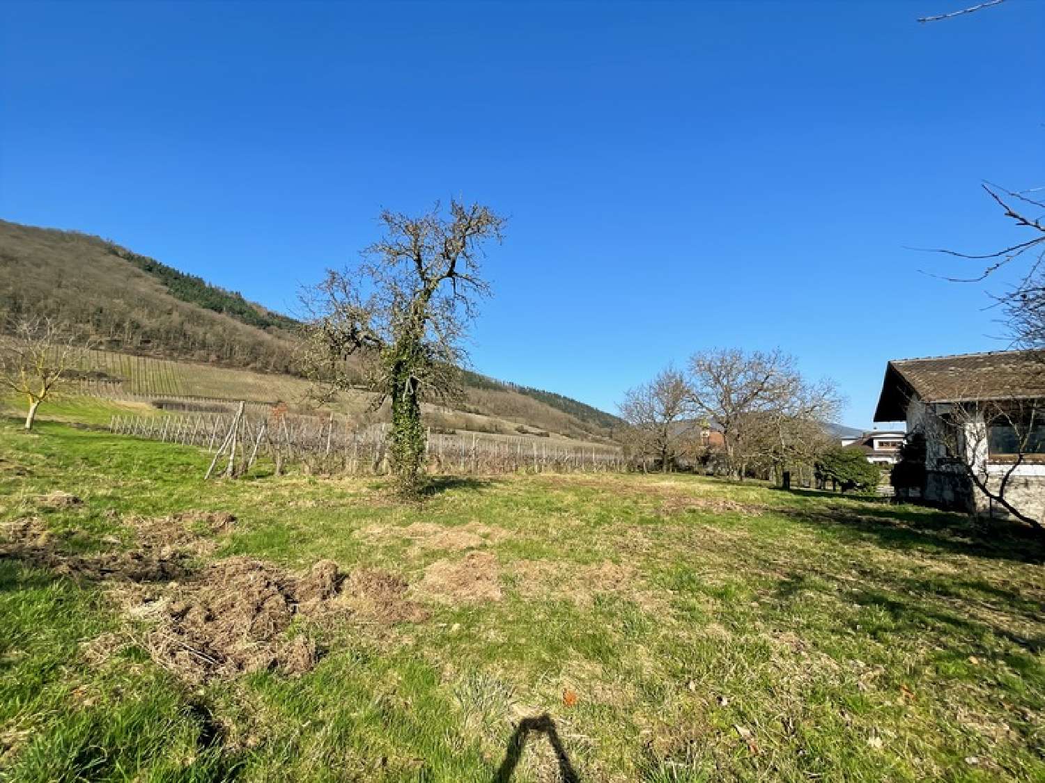  for sale terrain Châtenois Bas-Rhin 4