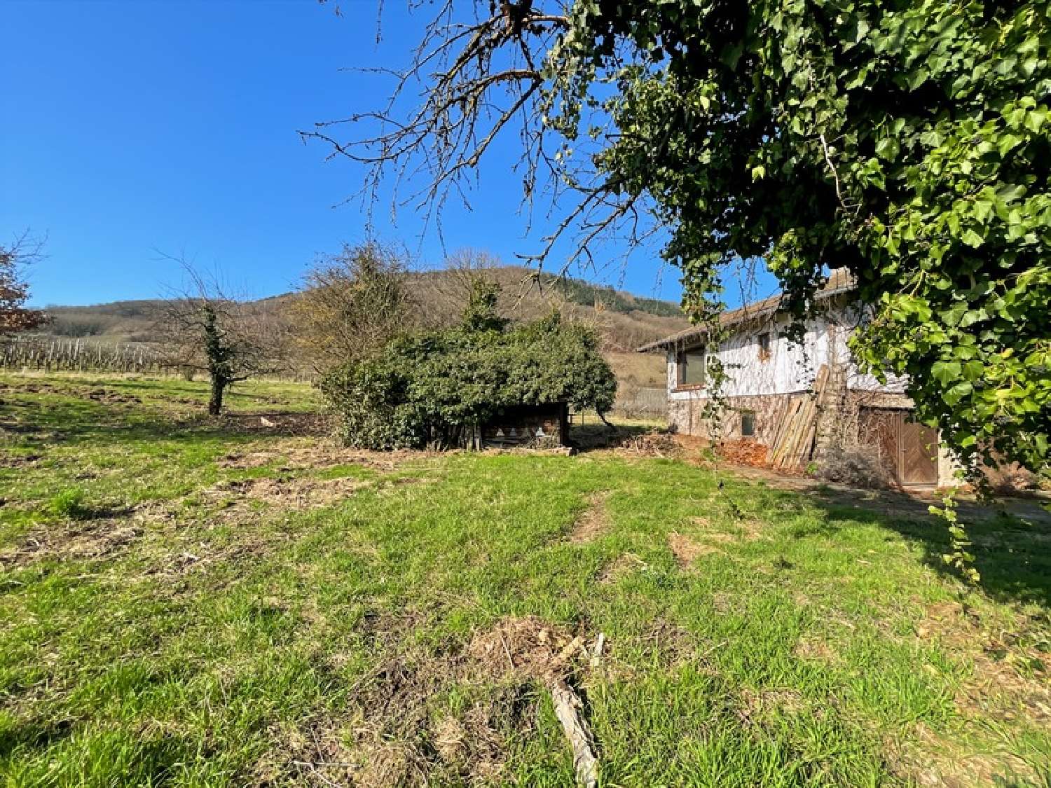  for sale terrain Châtenois Bas-Rhin 5