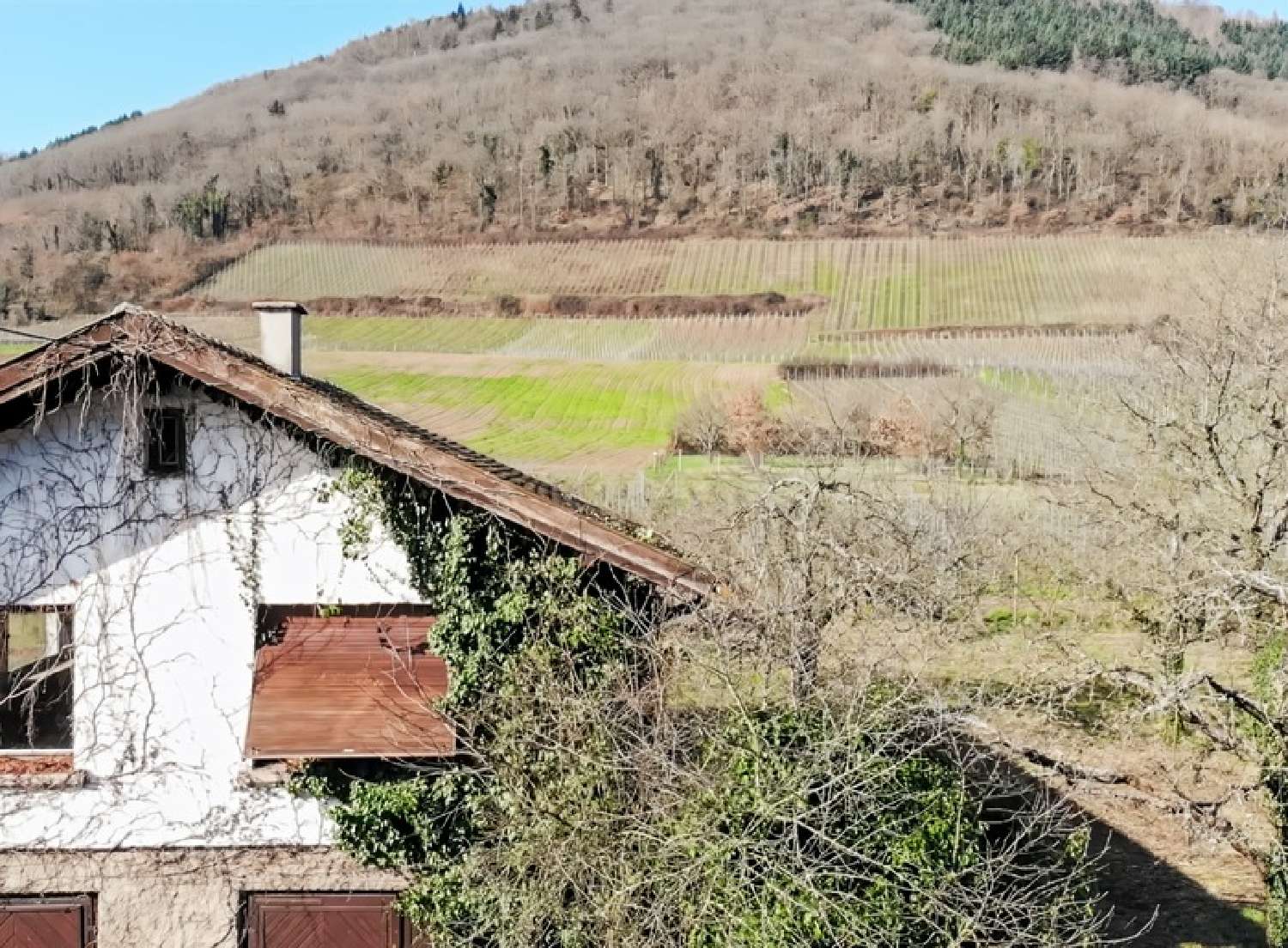  for sale terrain Châtenois Bas-Rhin 6