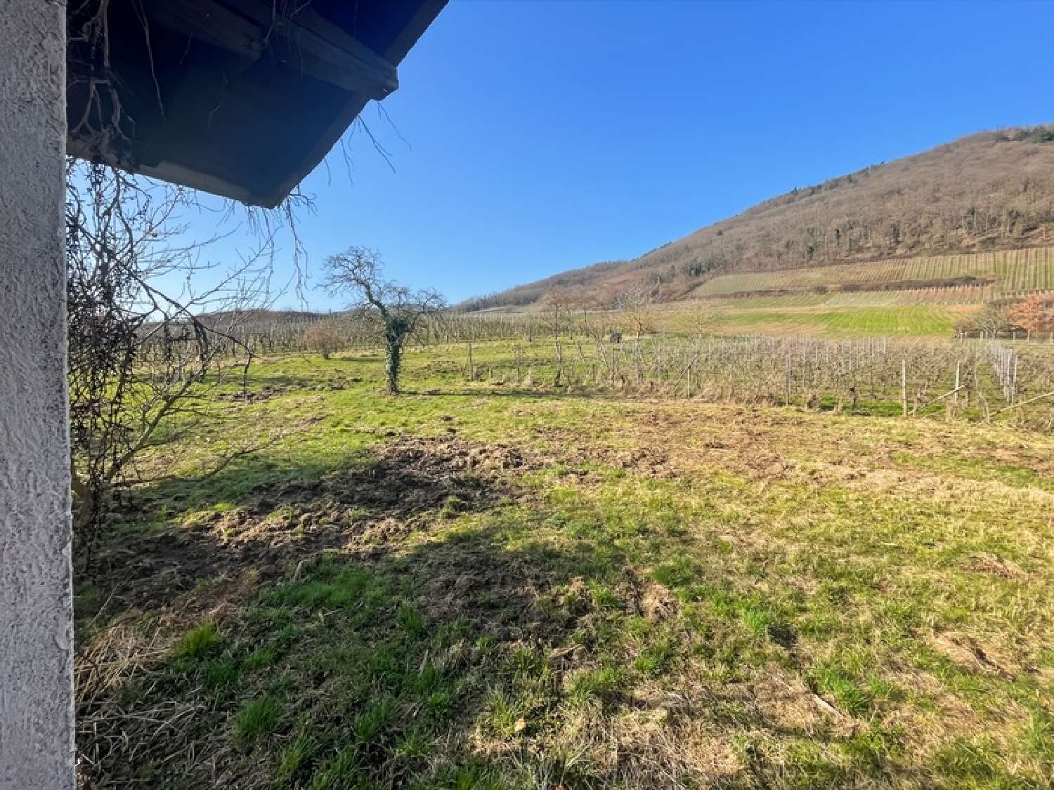  for sale terrain Châtenois Bas-Rhin 7