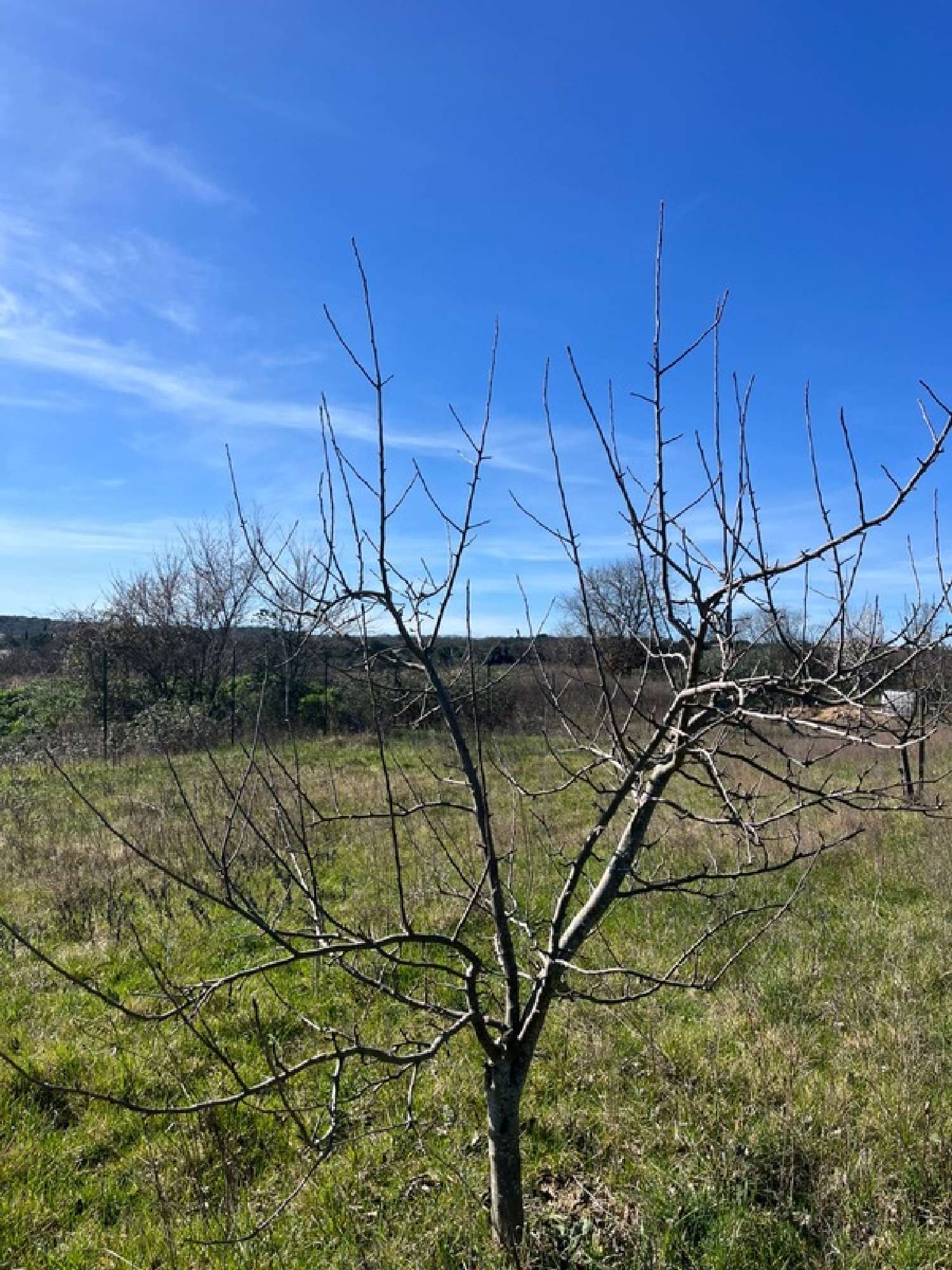  for sale terrain Collias Gard 2