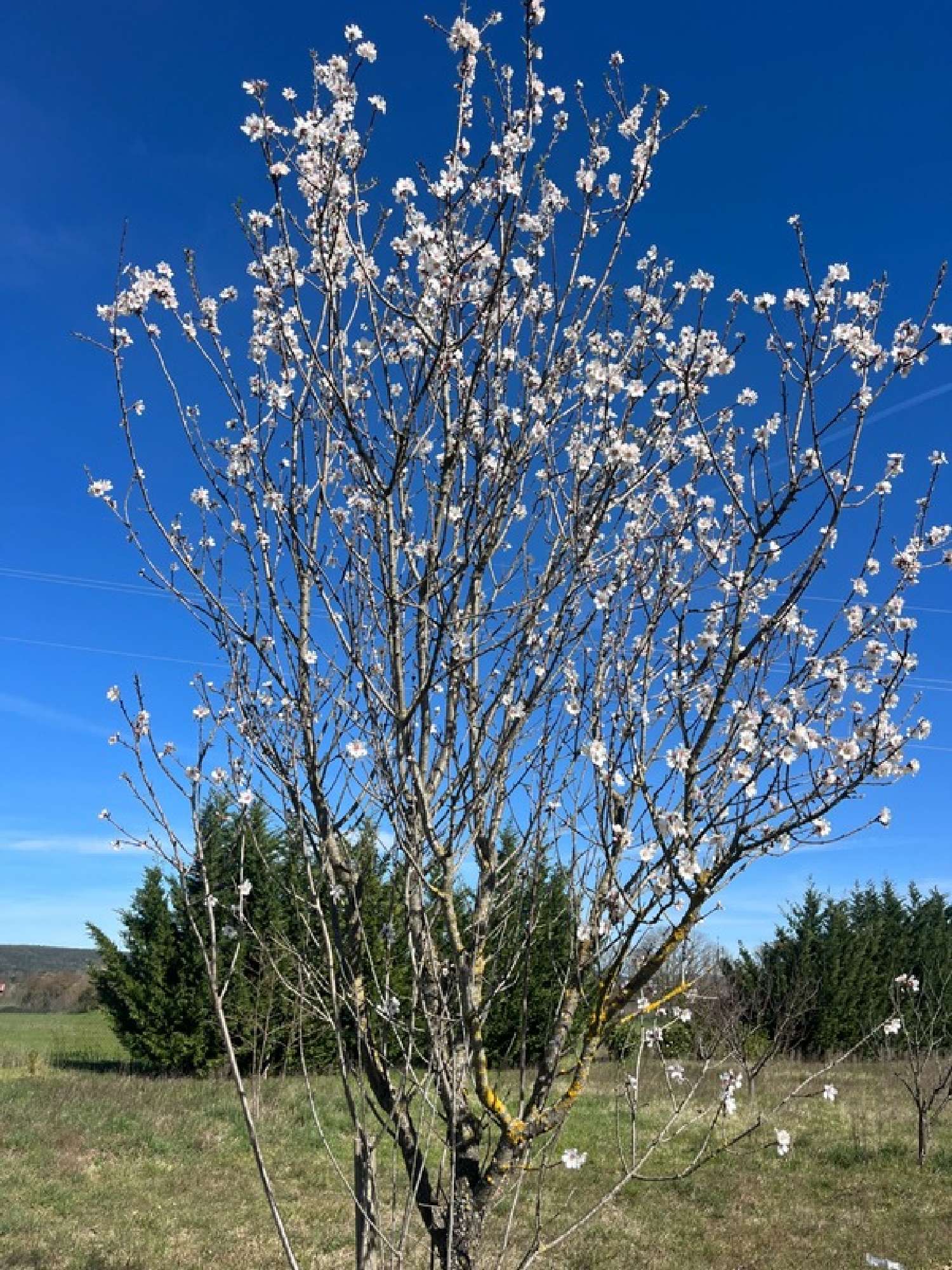  for sale terrain Collias Gard 3