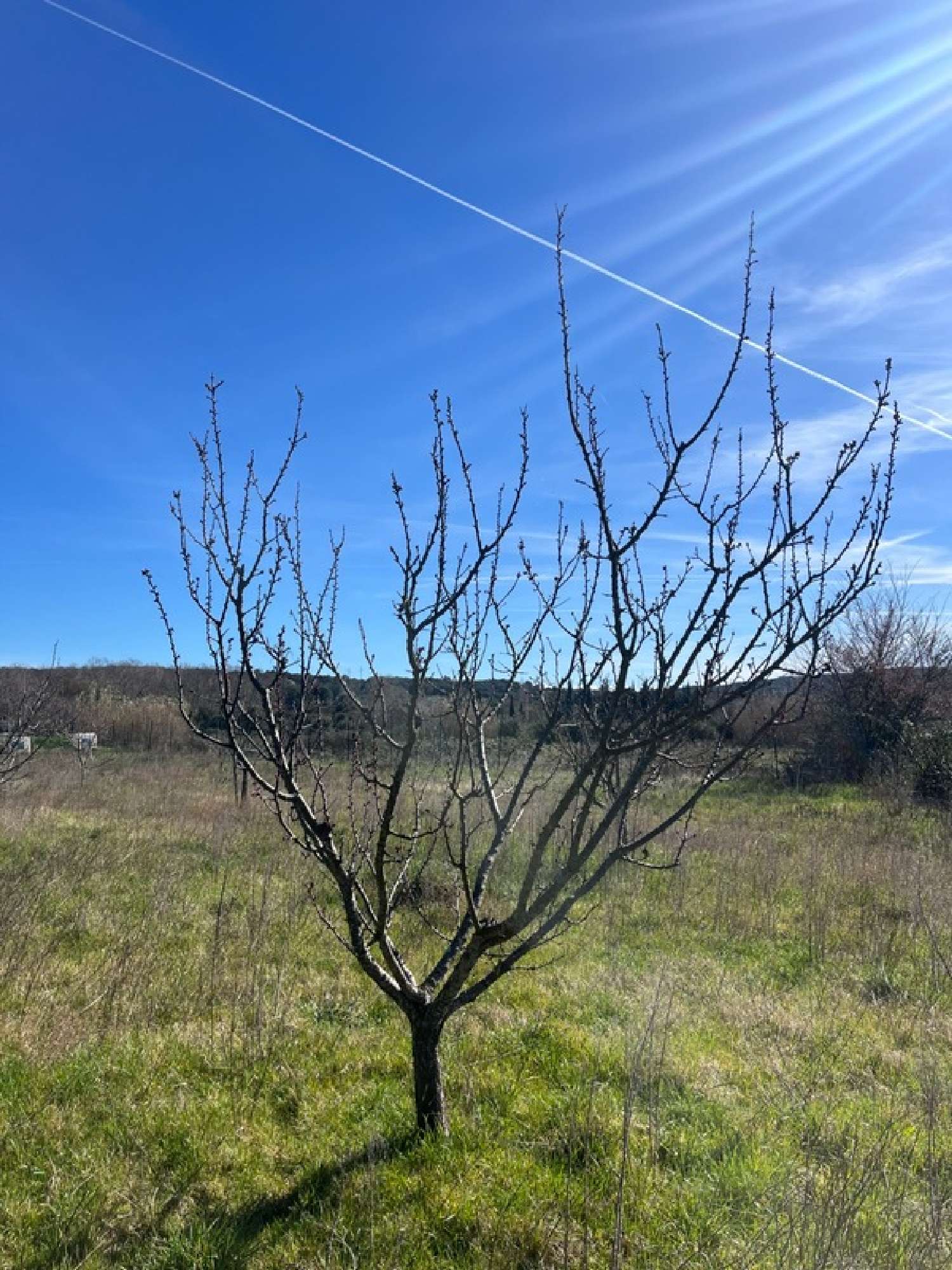  for sale terrain Collias Gard 4