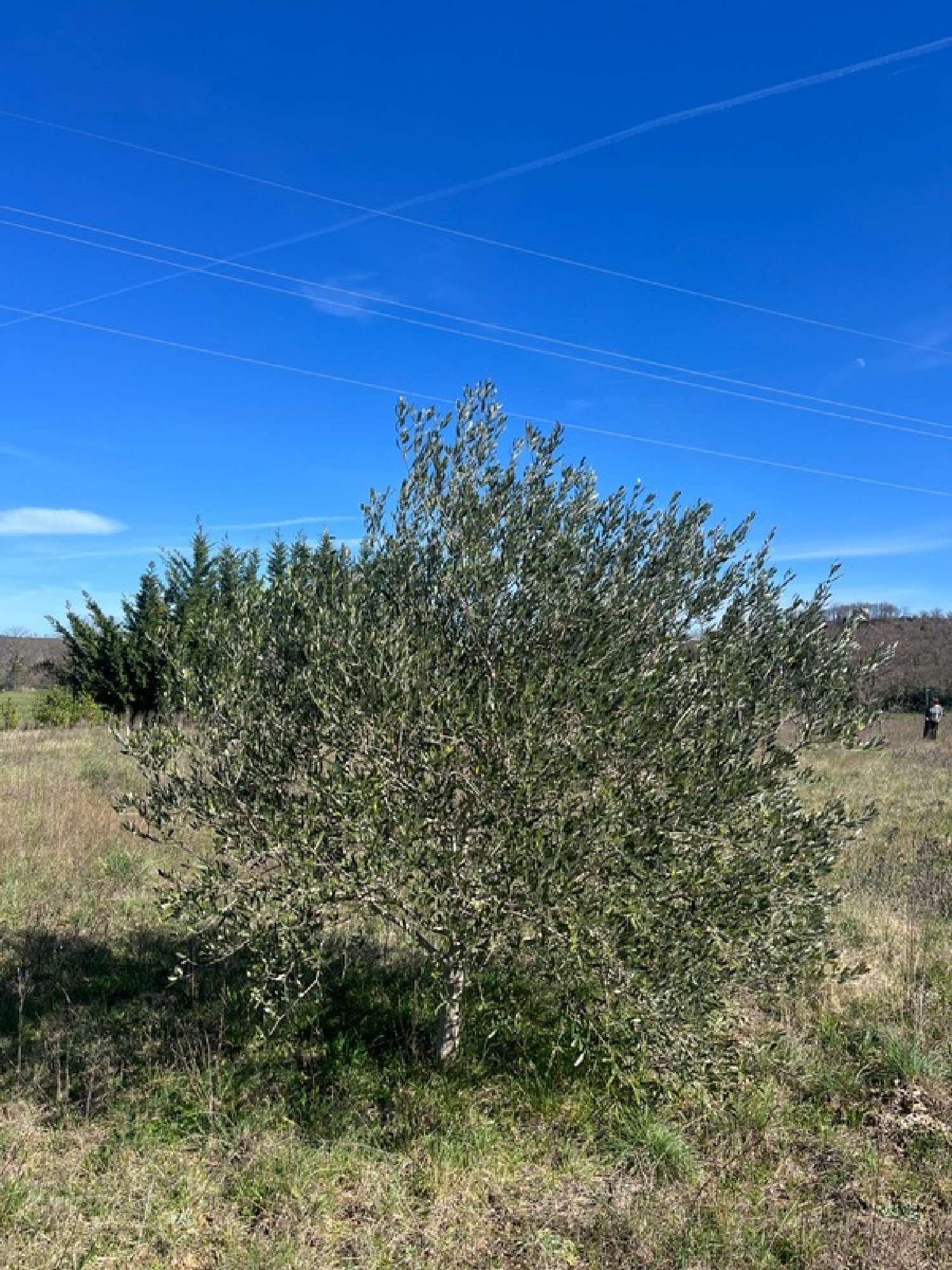  for sale terrain Collias Gard 5