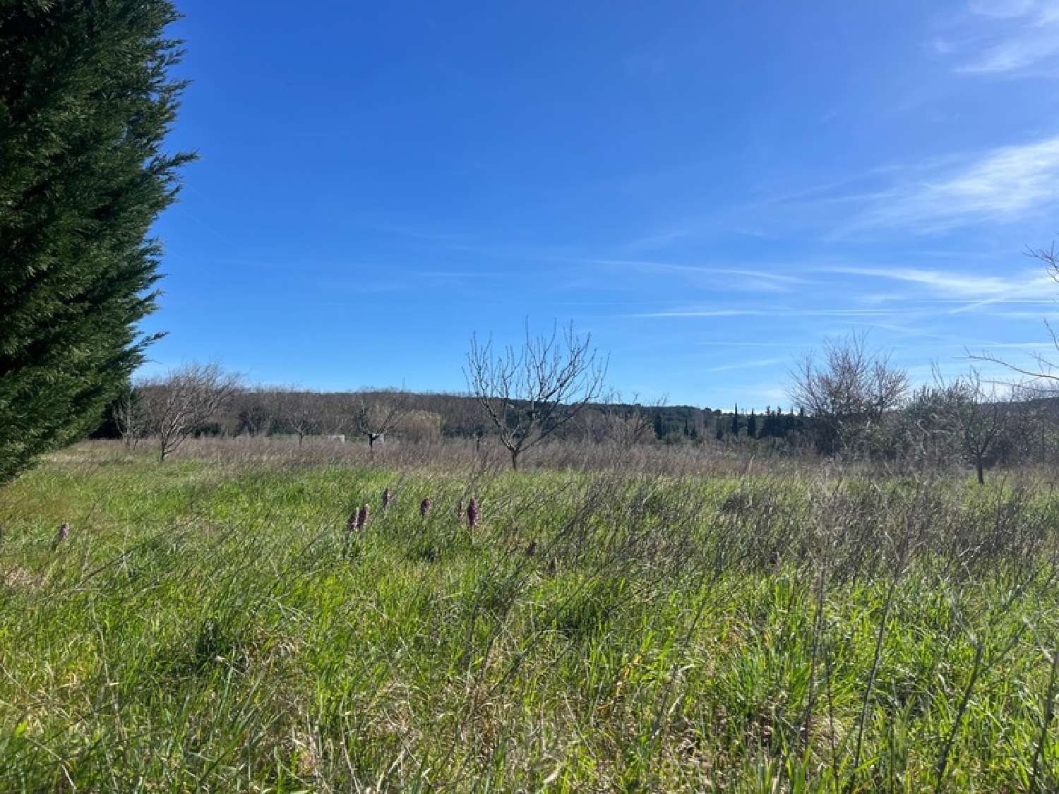  for sale terrain Collias Gard 7