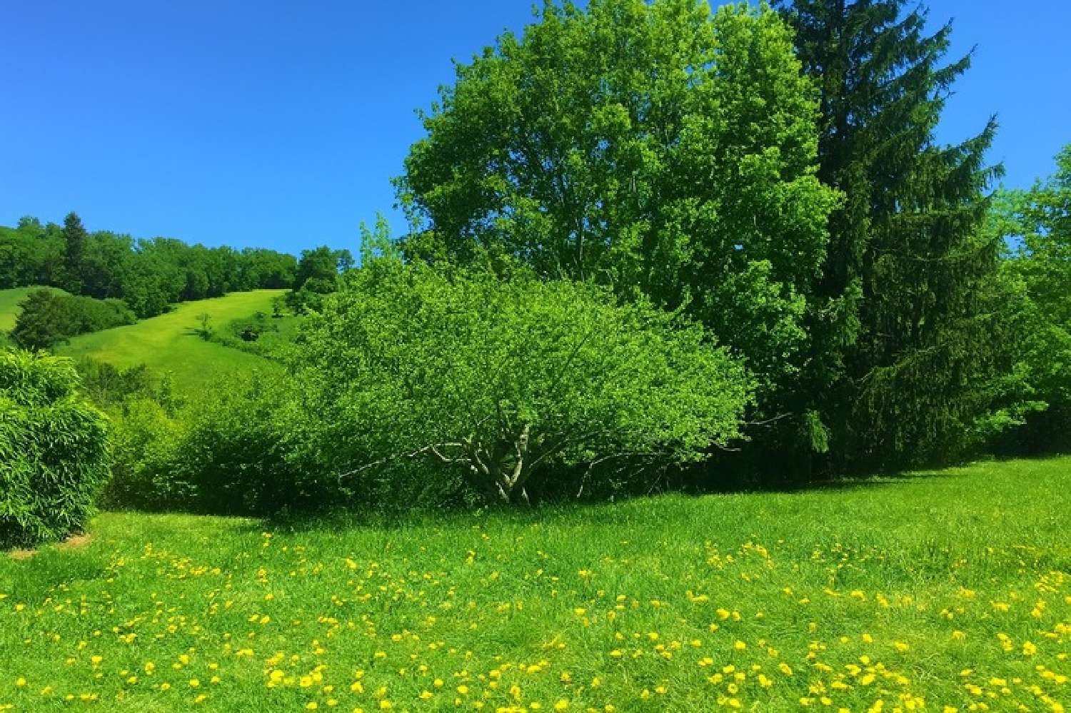 te koop terrein Cos Ariège 1