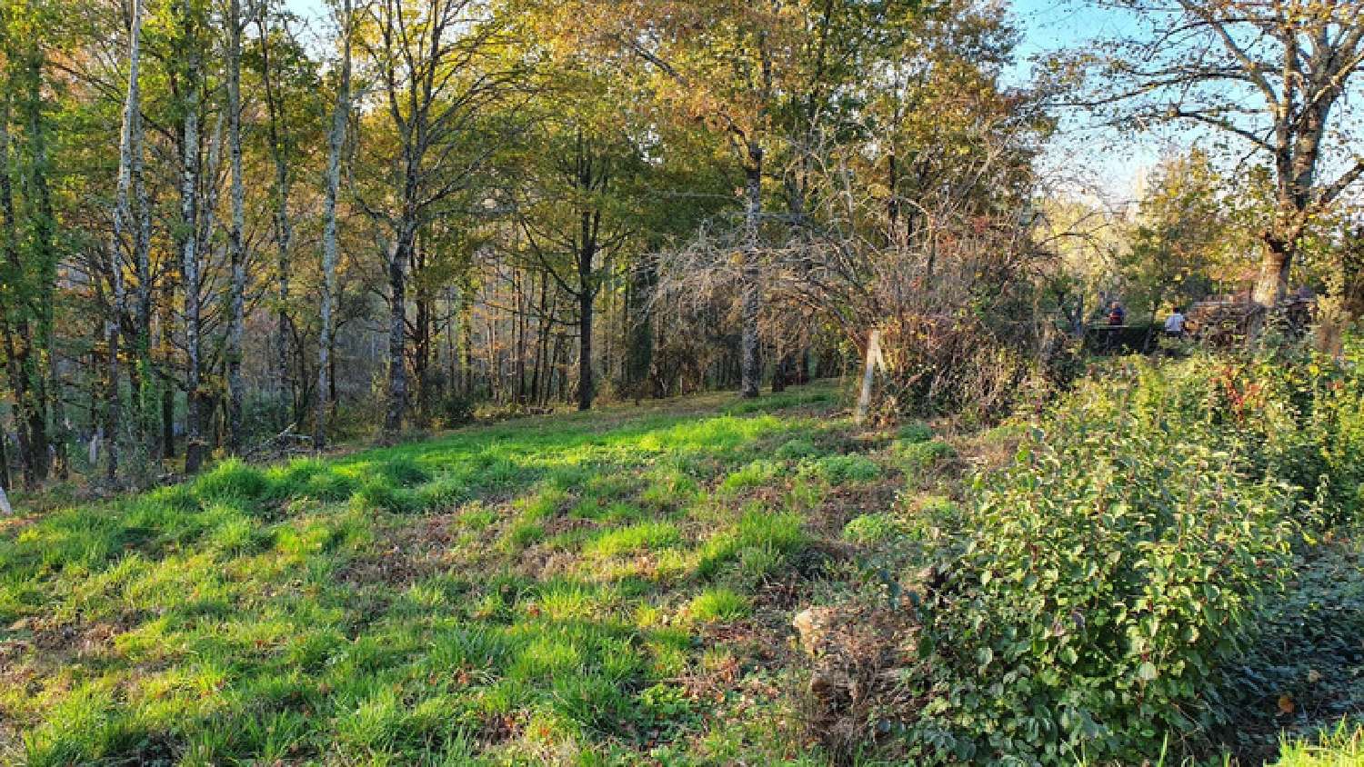  te koop terrein Cosnac Corrèze 3