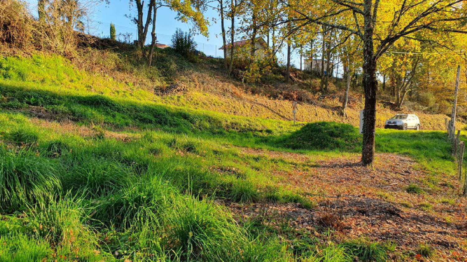  te koop terrein Cosnac Corrèze 5
