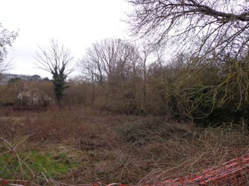 Dammartin-en-Goële Seine-et-Marne terreno foto 7277976