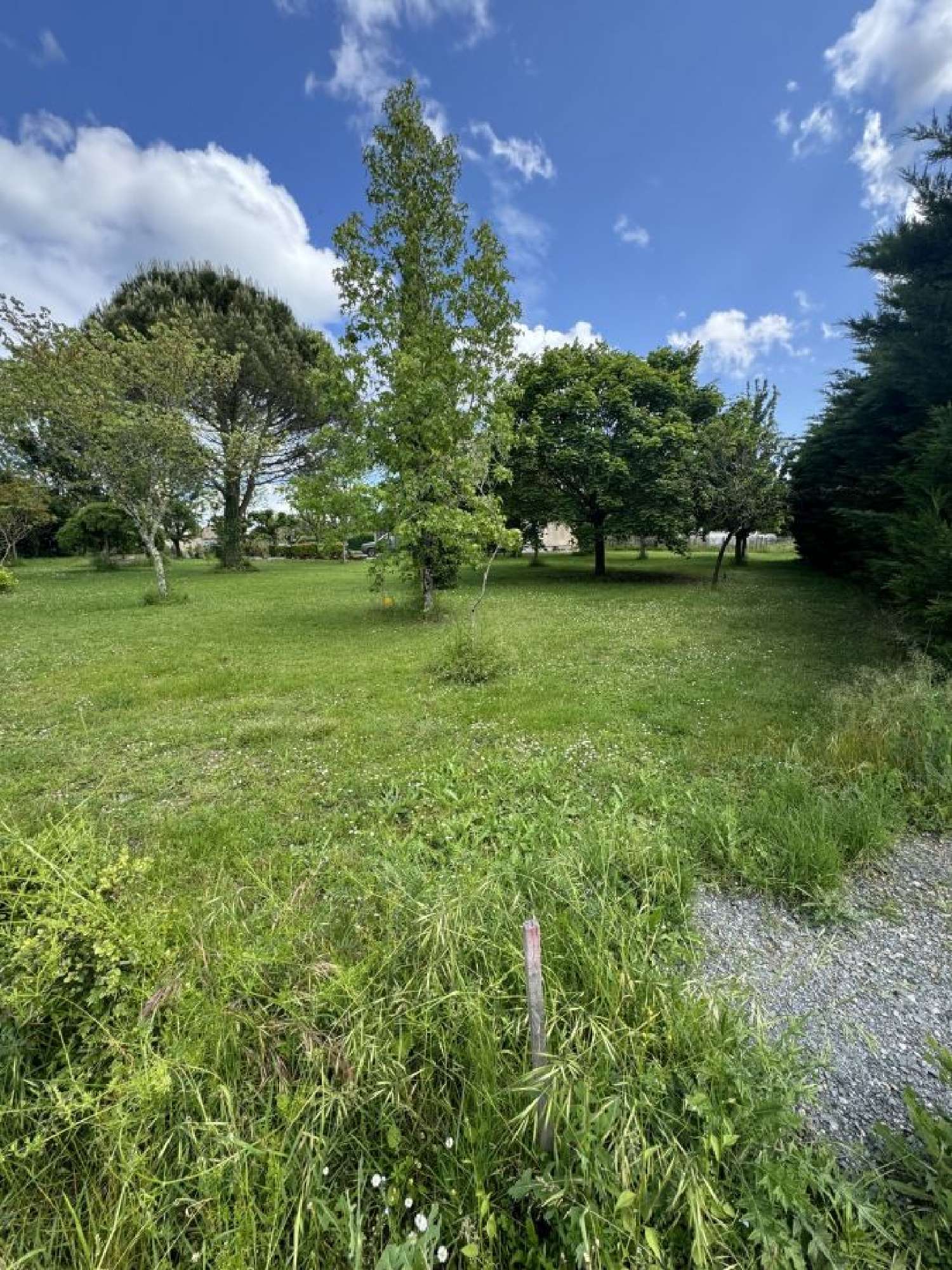  à vendre terrain Dénat Tarn 3