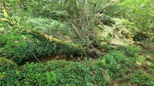 Dinan Côtes-d'Armor terrein foto 7273084