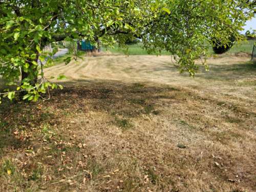 Dompierre-sur-Veyle Ain terrein foto 7290554