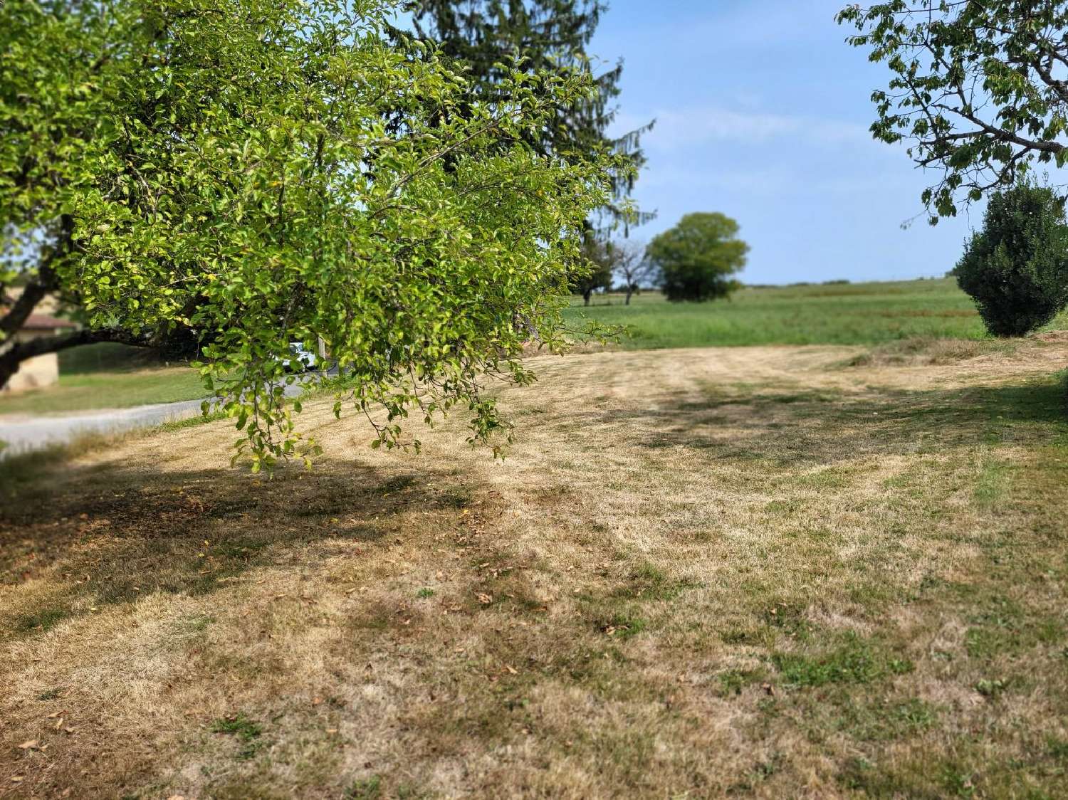 te koop terrein Dompierre-sur-Veyle Ain 3