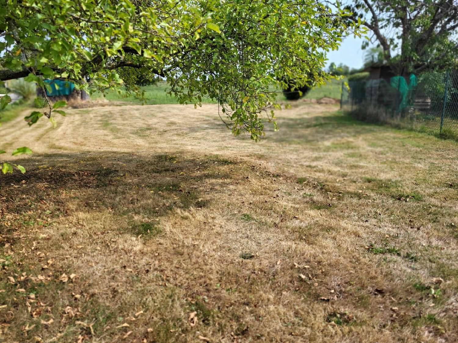 te koop terrein Dompierre-sur-Veyle Ain 5