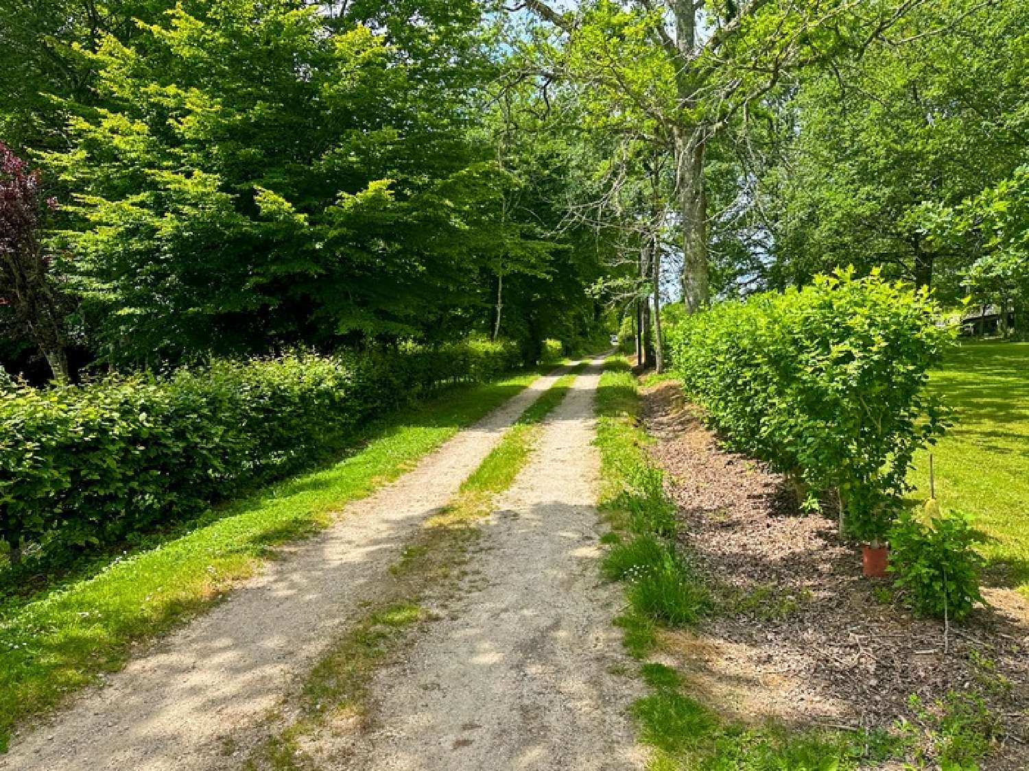  à vendre terrain Eauze Gers 3