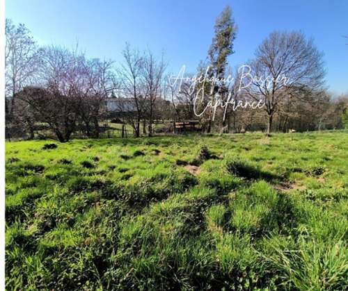 Échalas Rhône terrain foto 7272878