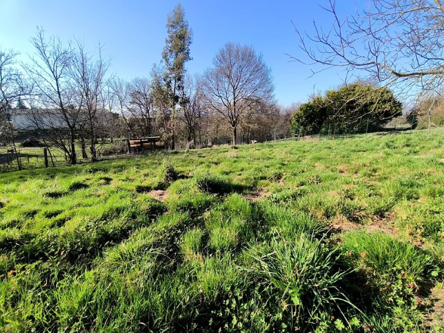  for sale terrain Échalas Rhône 2