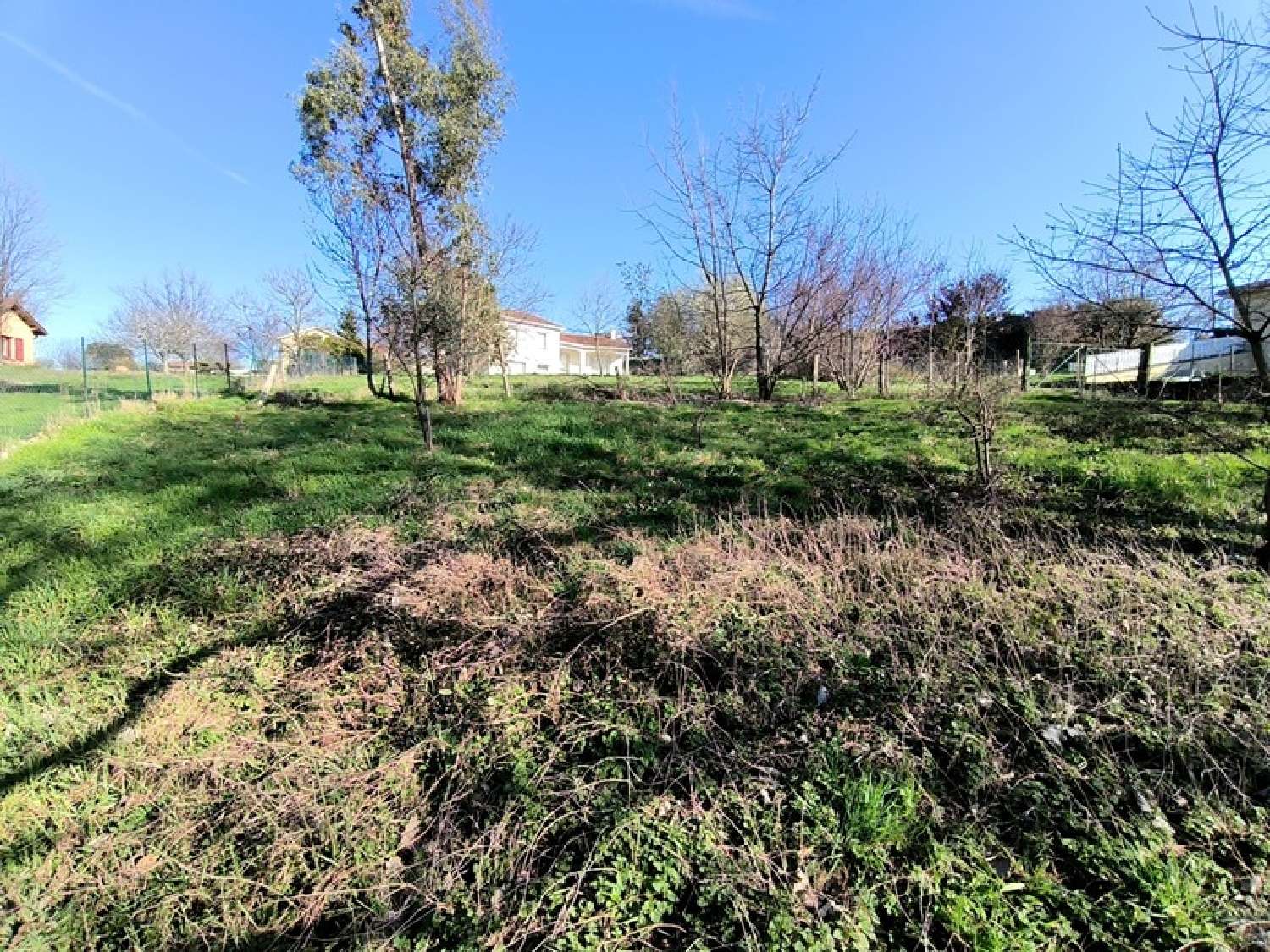  for sale terrain Échalas Rhône 3