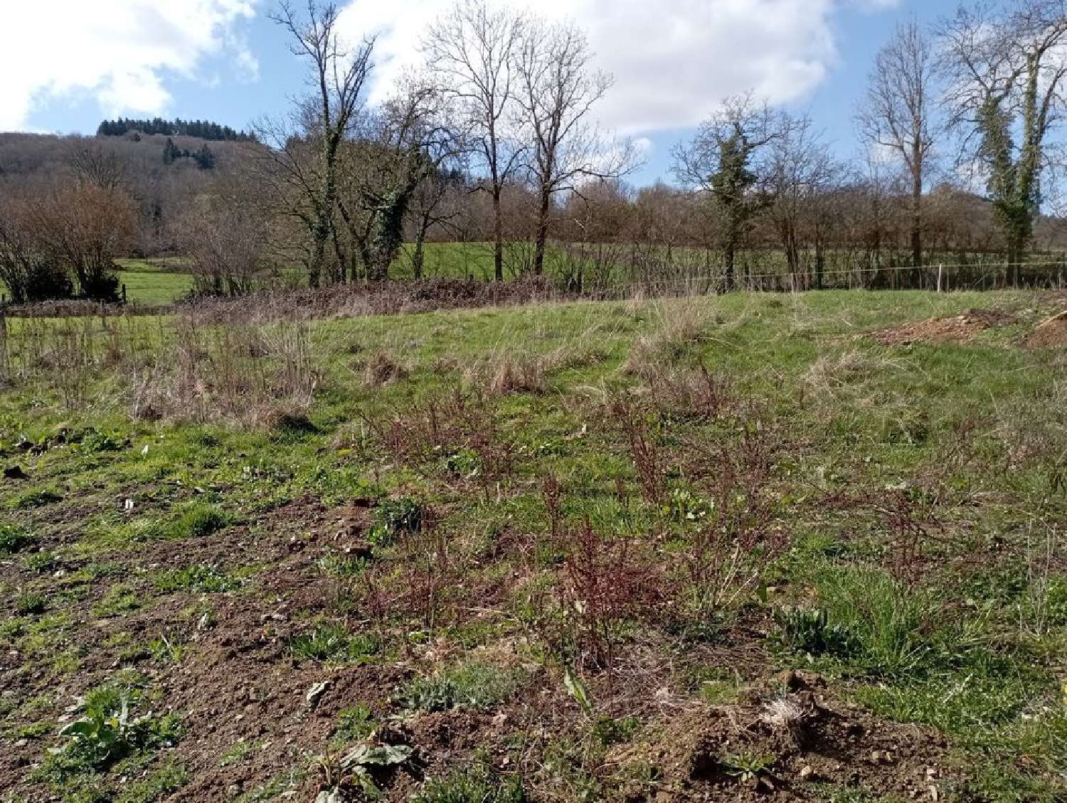  te koop terrein Ferrières-sur-Sichon Allier 1