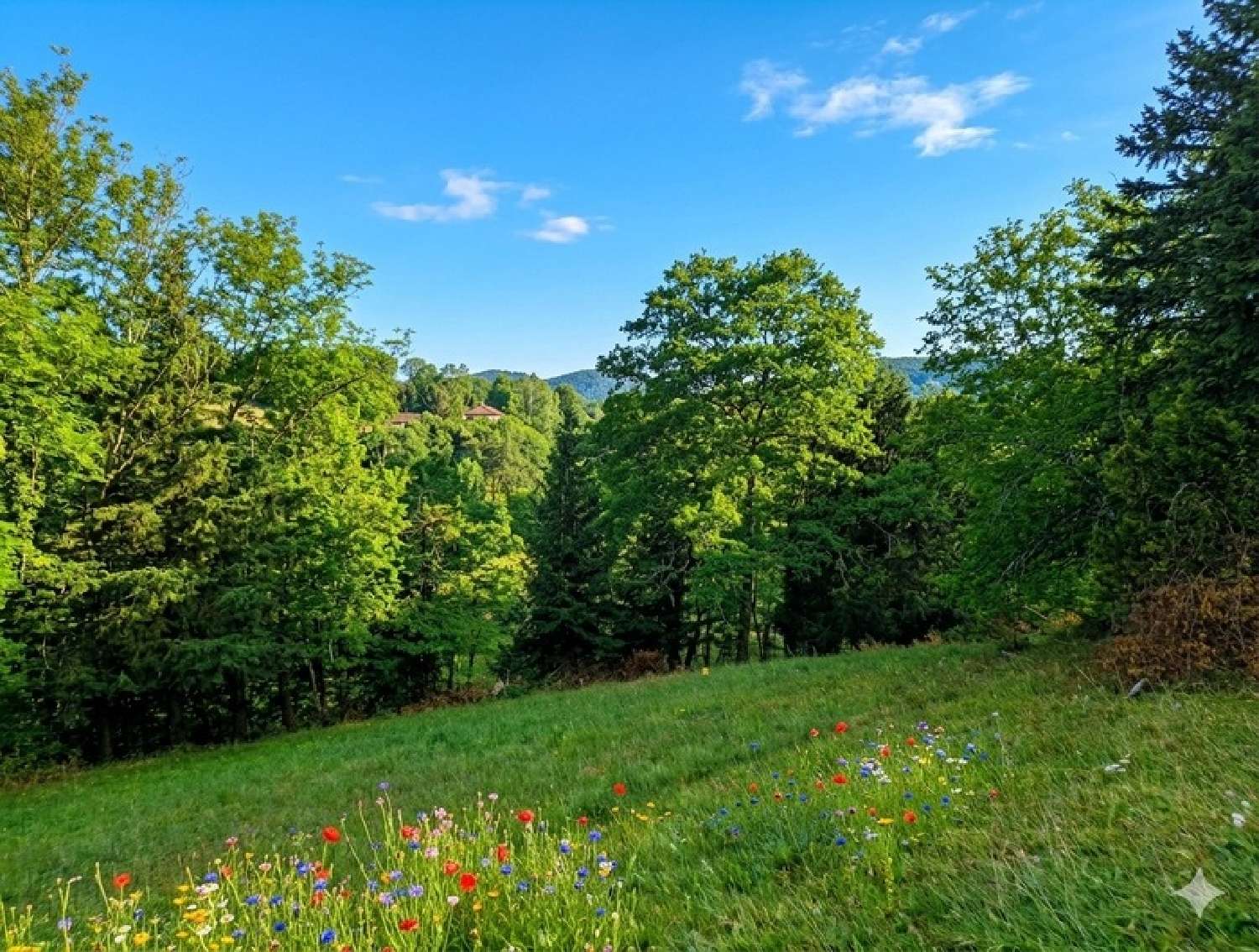 te koop terrein Foix Ariège 2