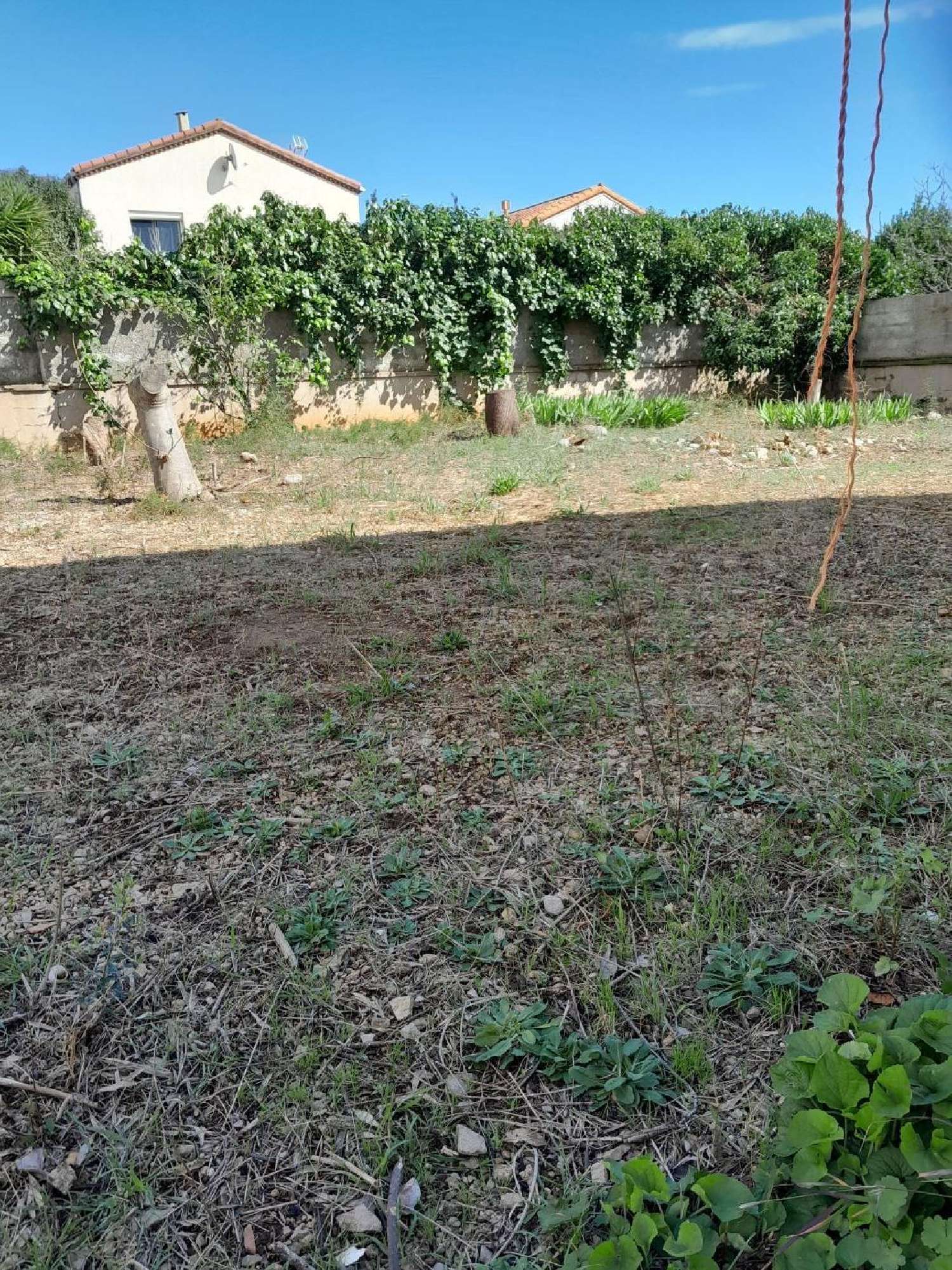  à vendre terrain Frontignan Hérault 1
