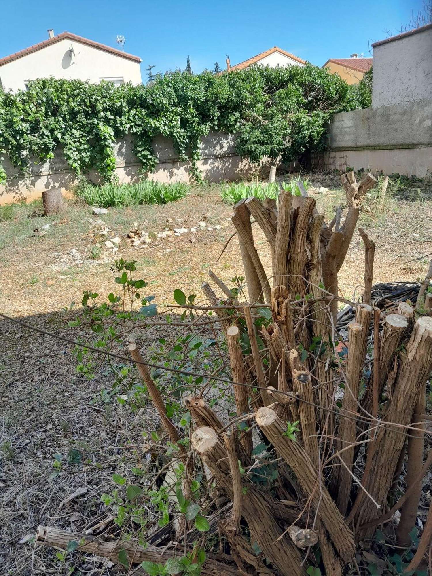  à vendre terrain Frontignan Hérault 3