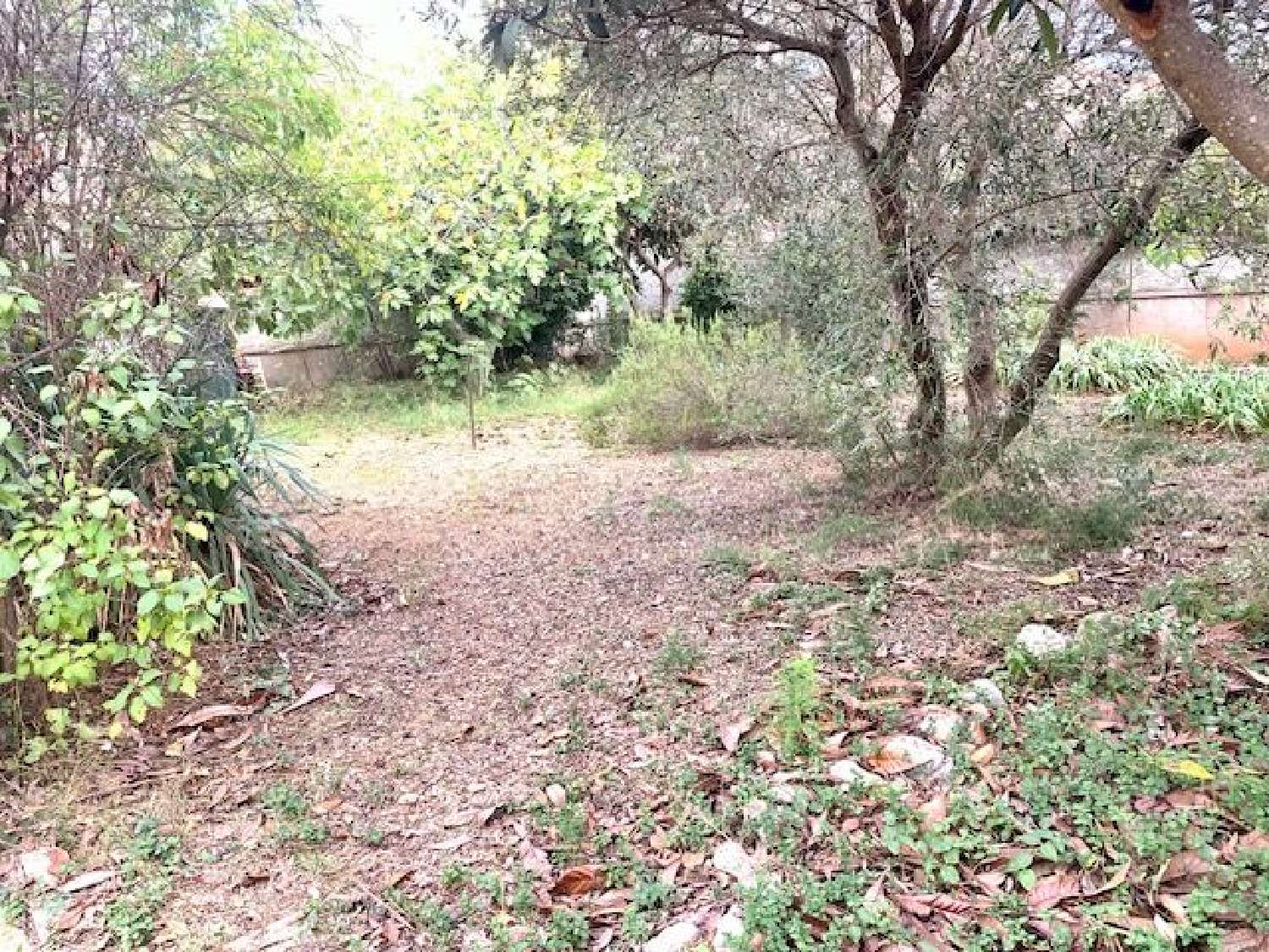  à vendre terrain Frontignan Hérault 4