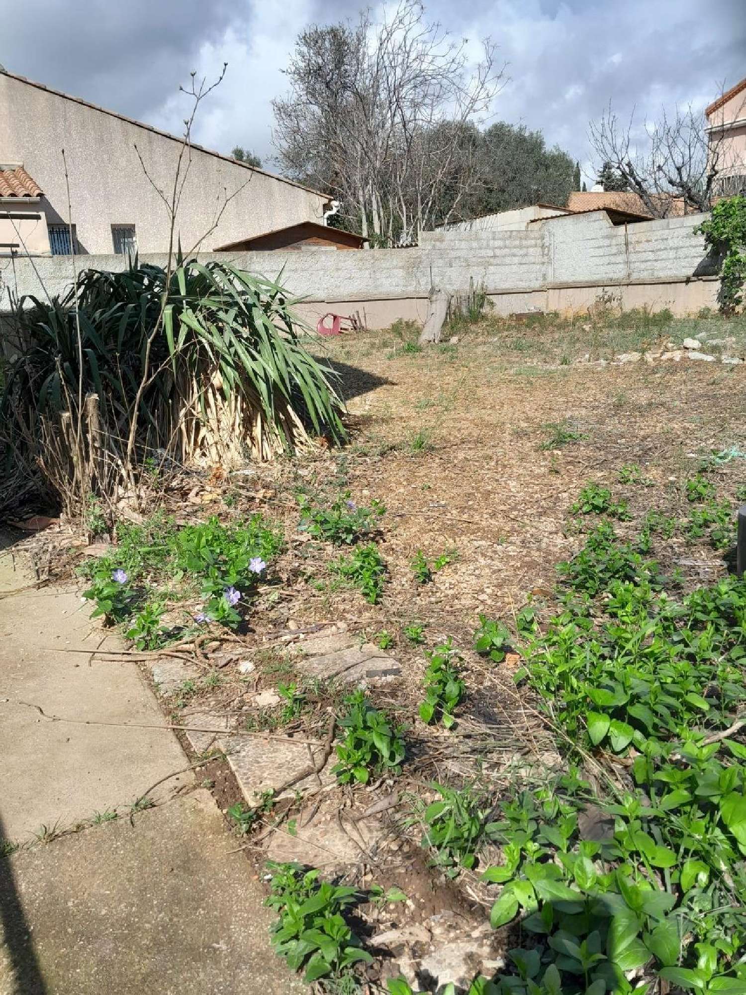  à vendre terrain Frontignan Hérault 5