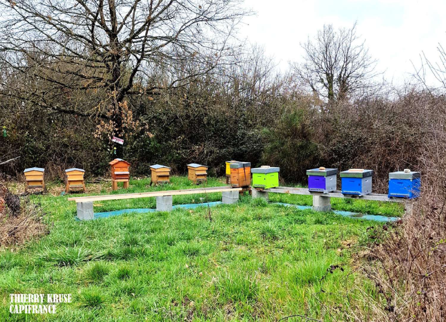 te koop terrein Fronton Haute-Garonne 4