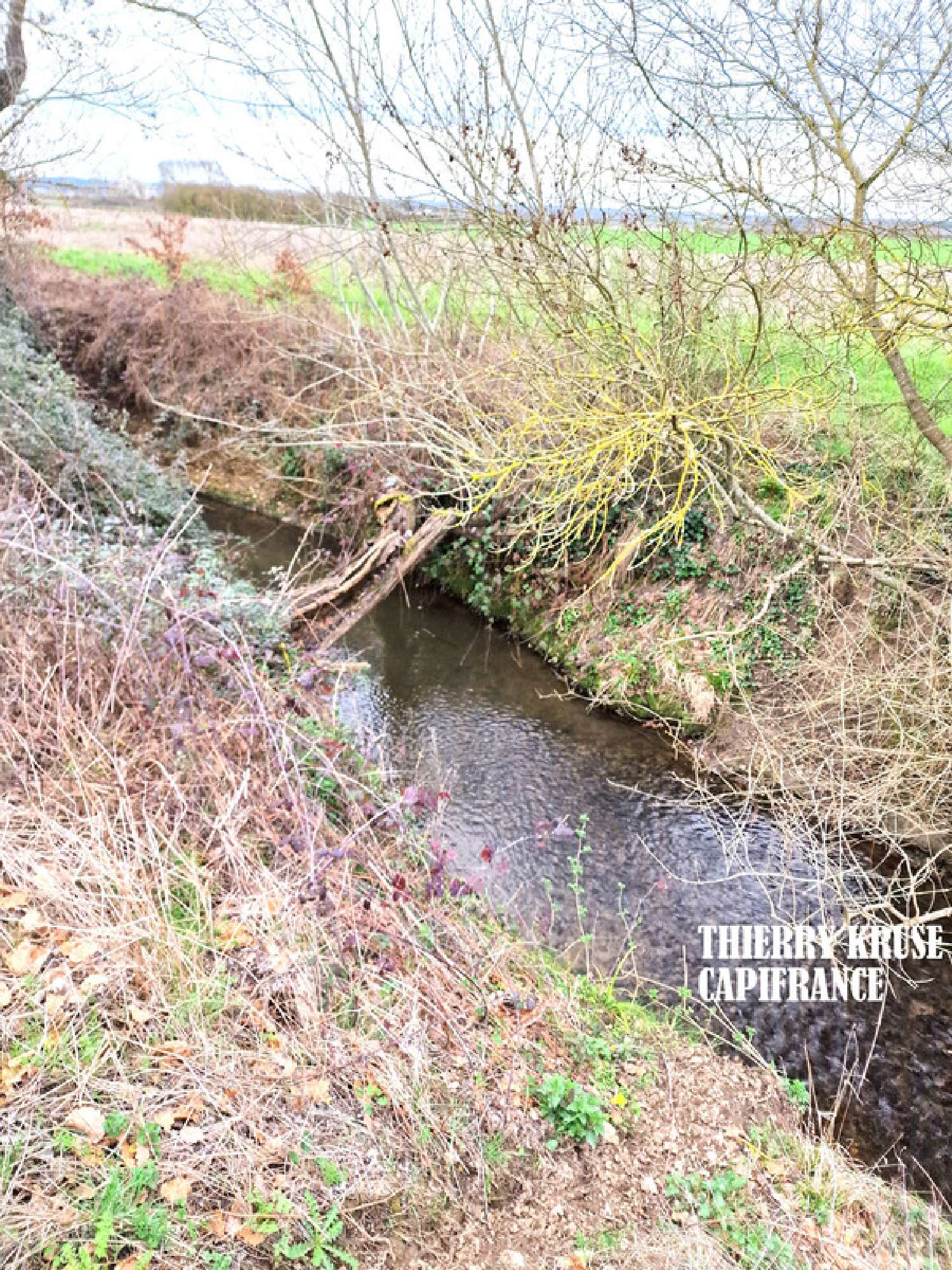 te koop terrein Fronton Haute-Garonne 6
